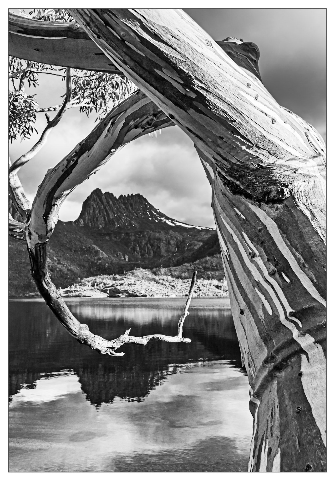 Framed - Cradle Mountain, Tasmania