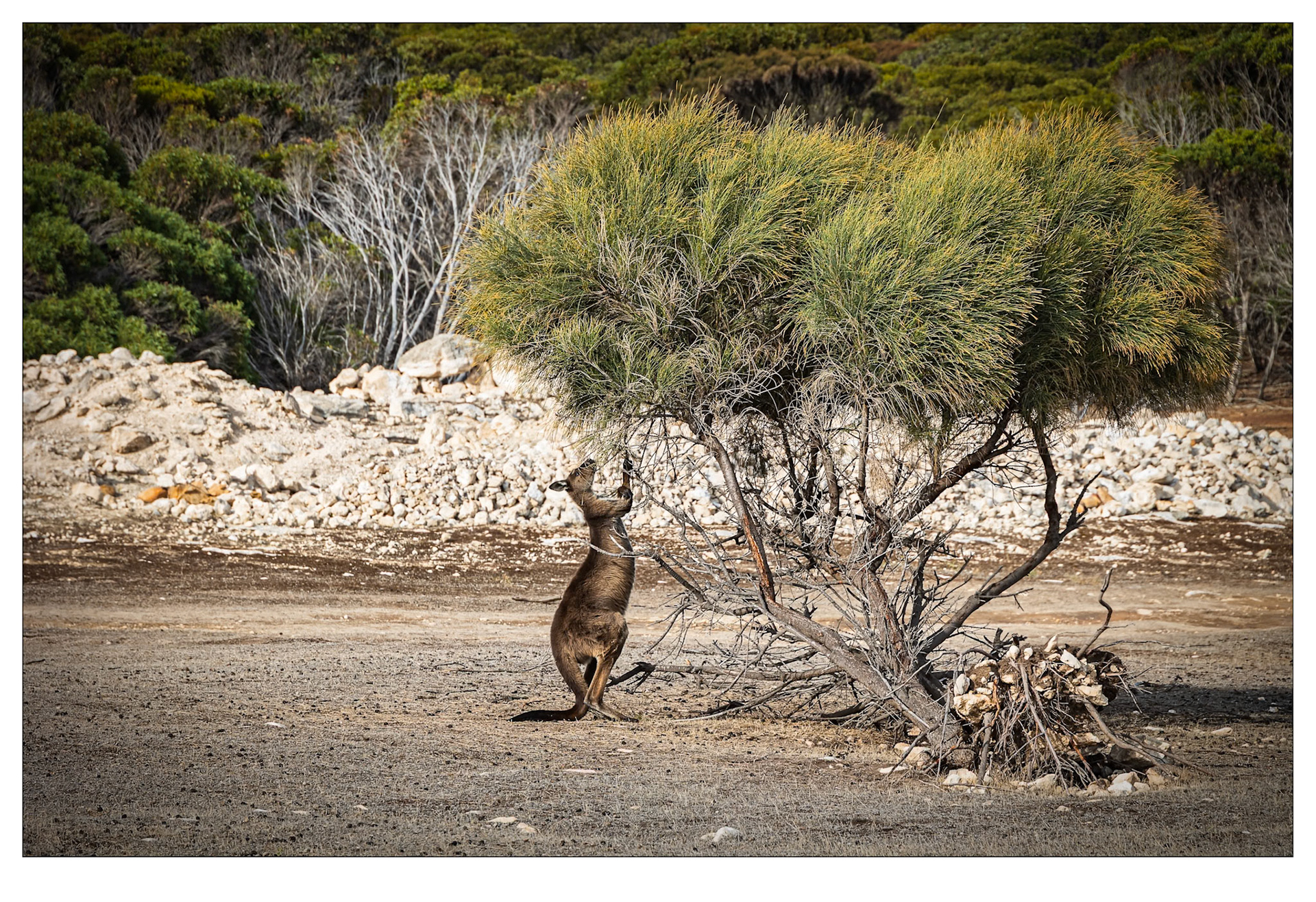 The Best Bits - Kangaroo Island, South Australia