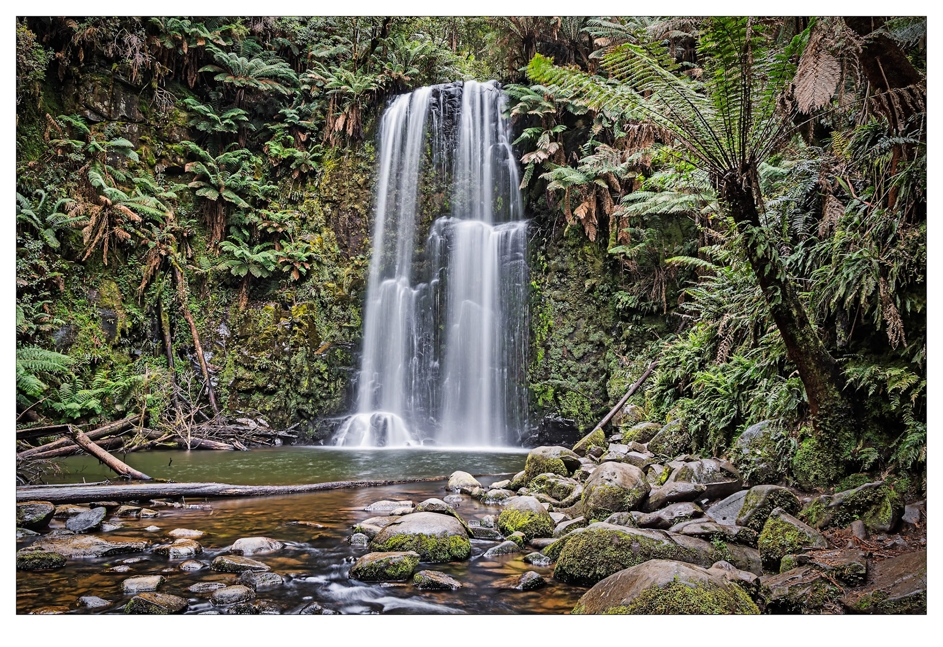 Beauchamp Falls - Great Otway Ranges, Victoria