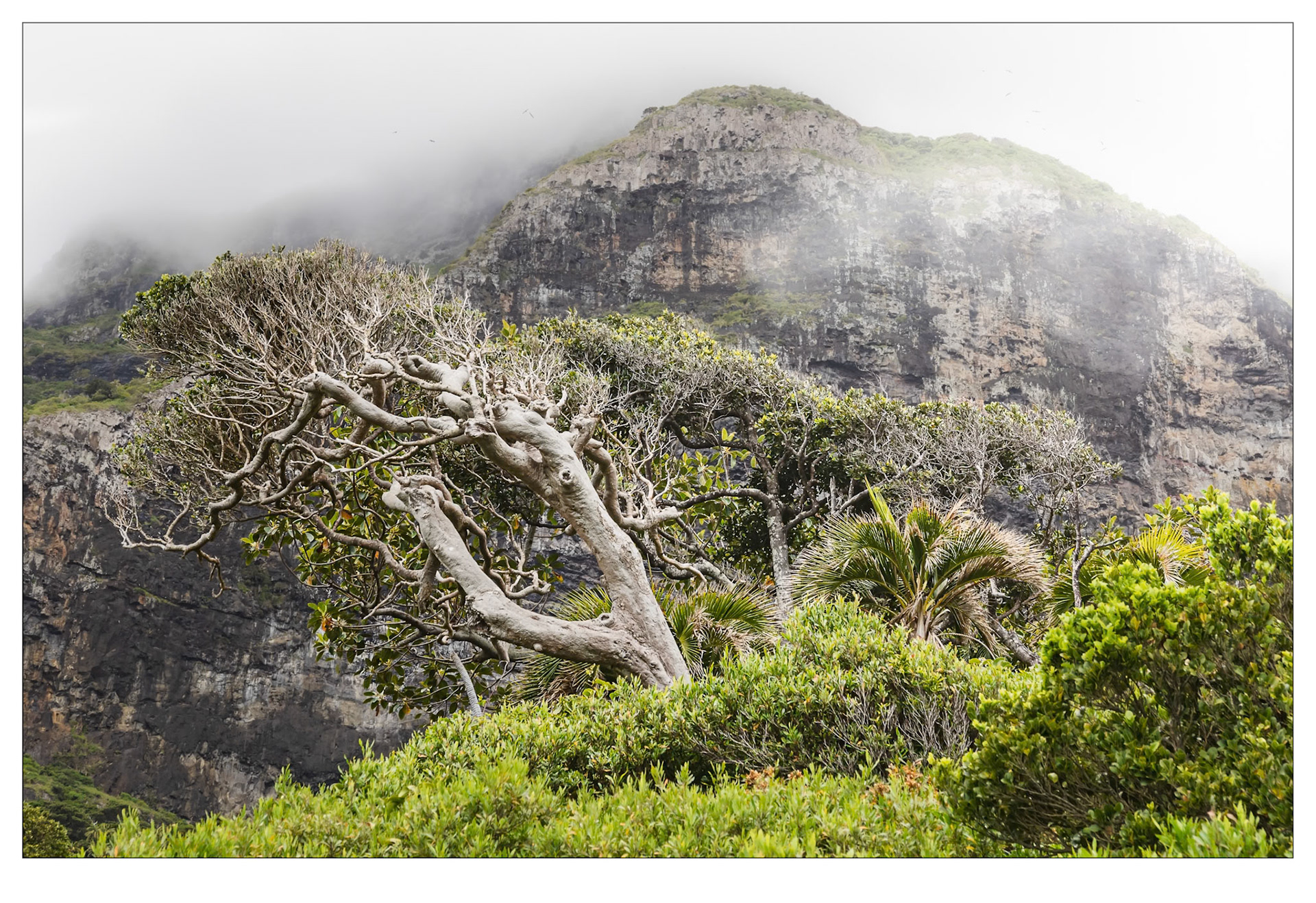 Lost in Time - Lord Howe Island, Australia