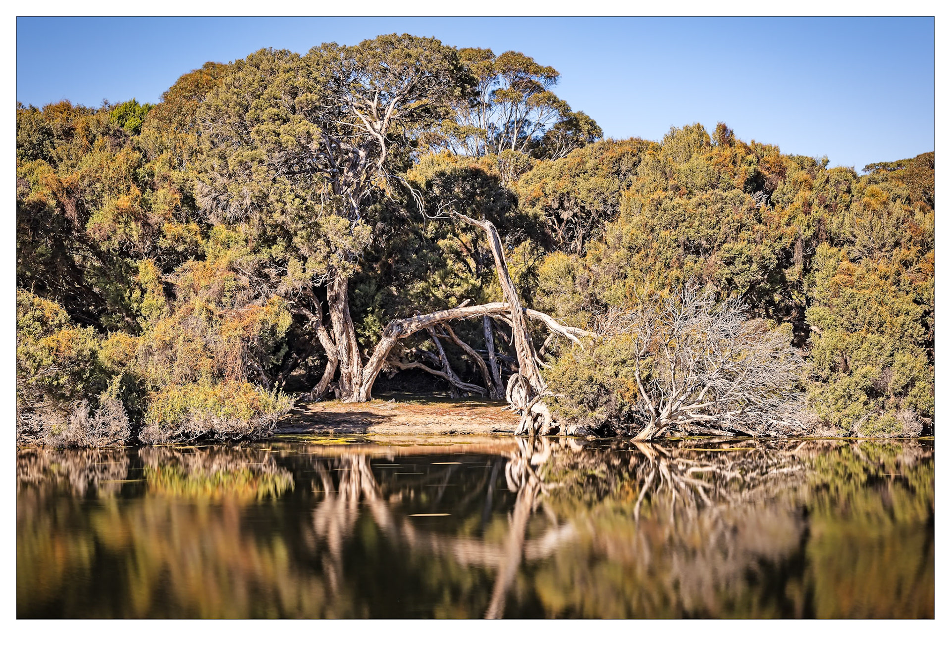 Meditation Time - Chapman River, Kangaroo Island