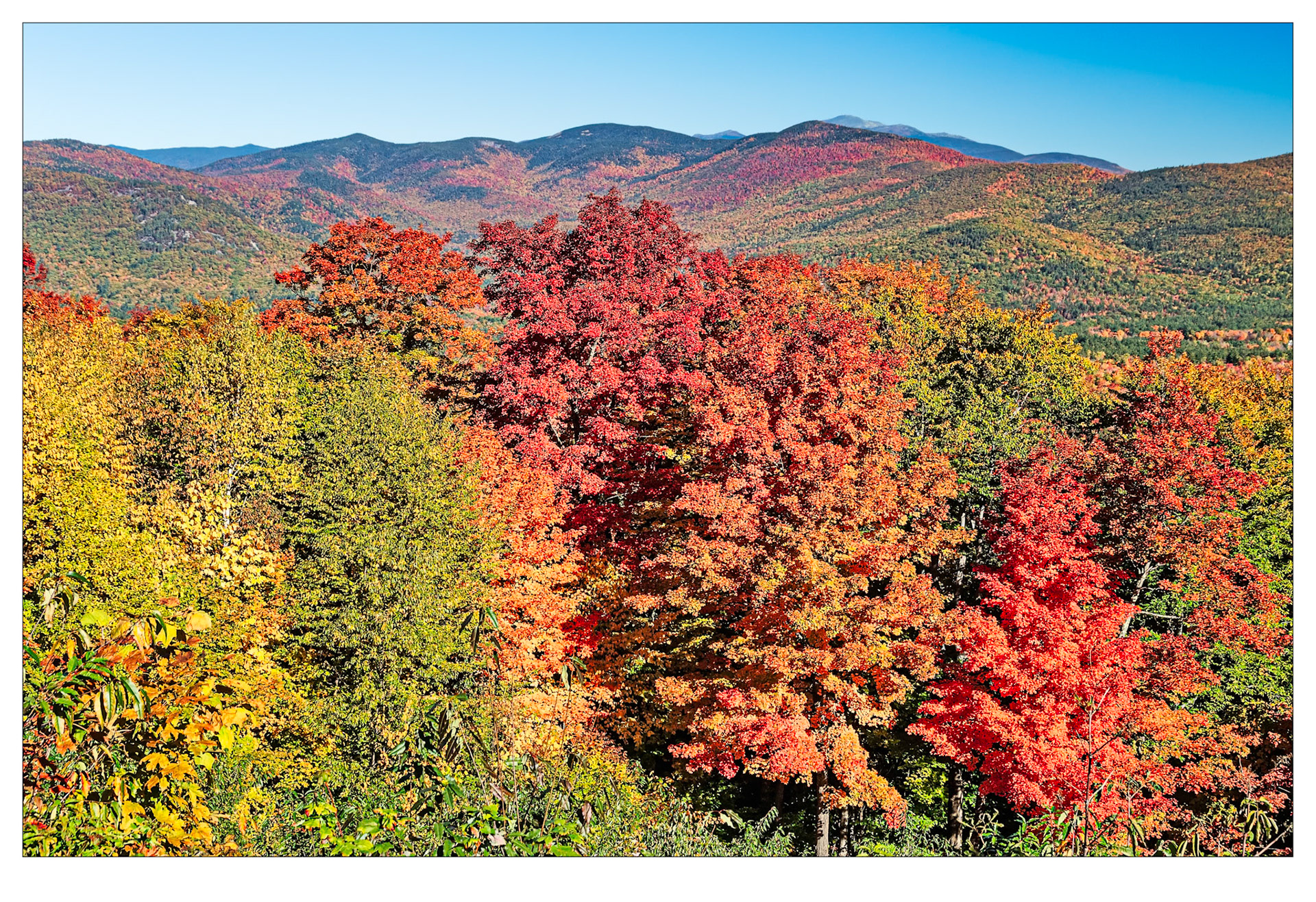 Blazing - New Hampshire, USA