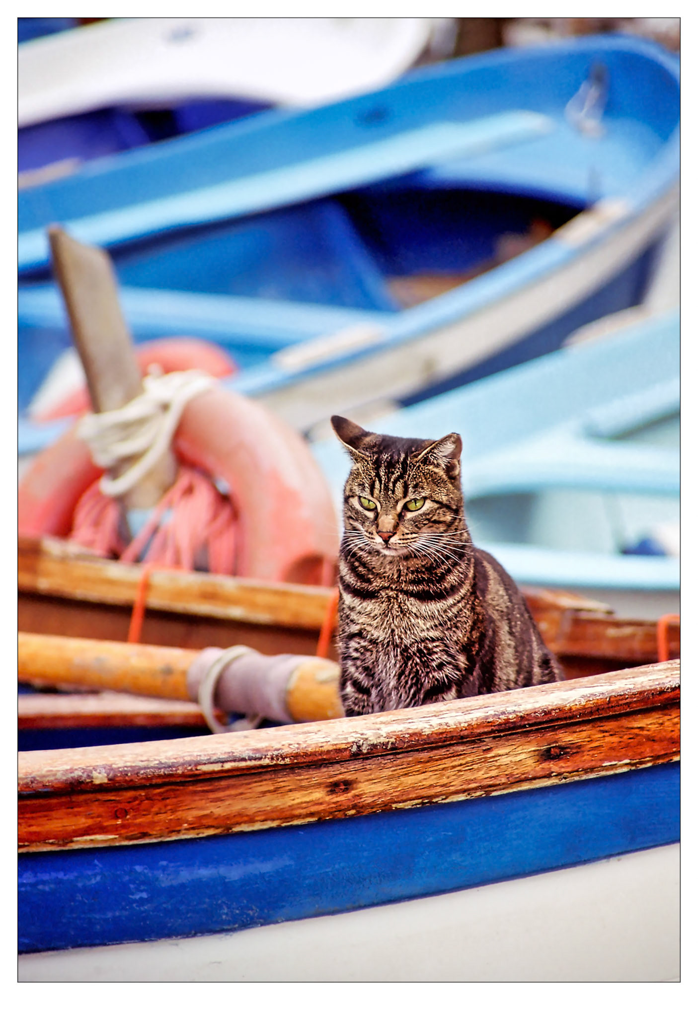 First Watch - Vernazza, Italy
