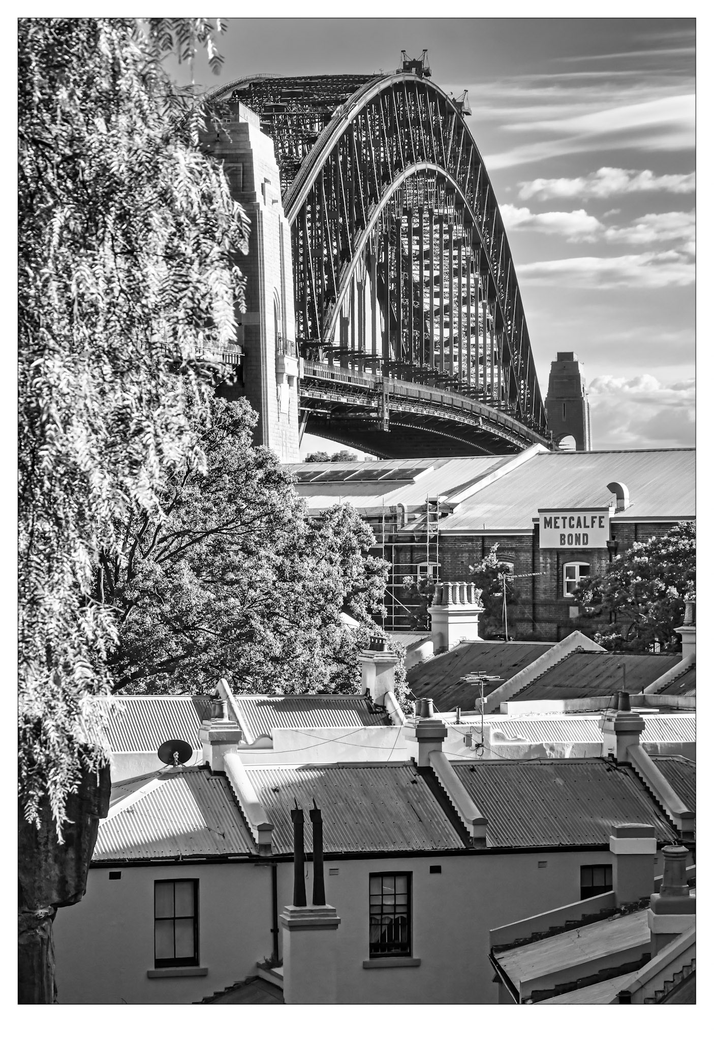 Coathanger Rising - Sydney, Australia