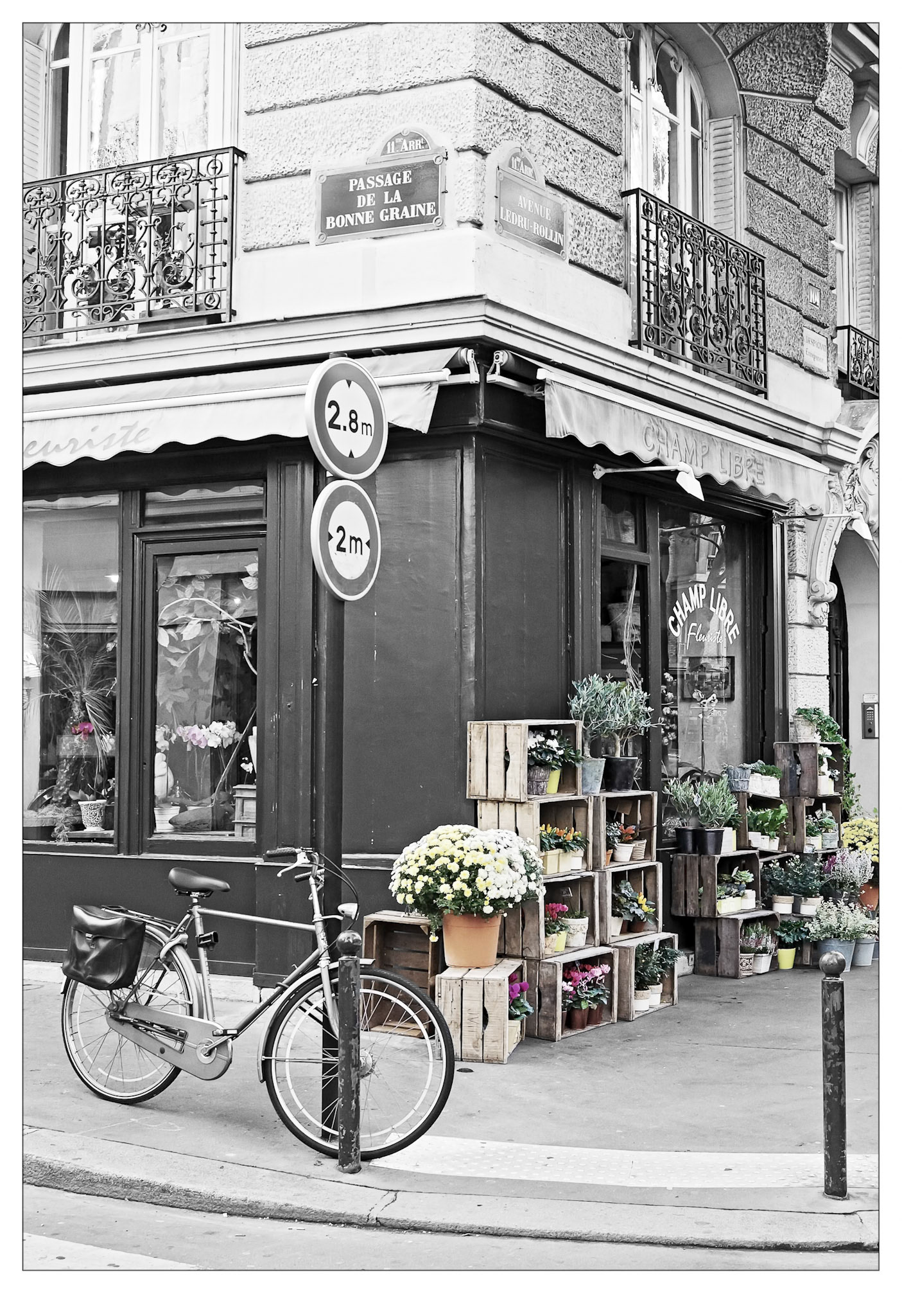 The Flower Shop - Paris, France