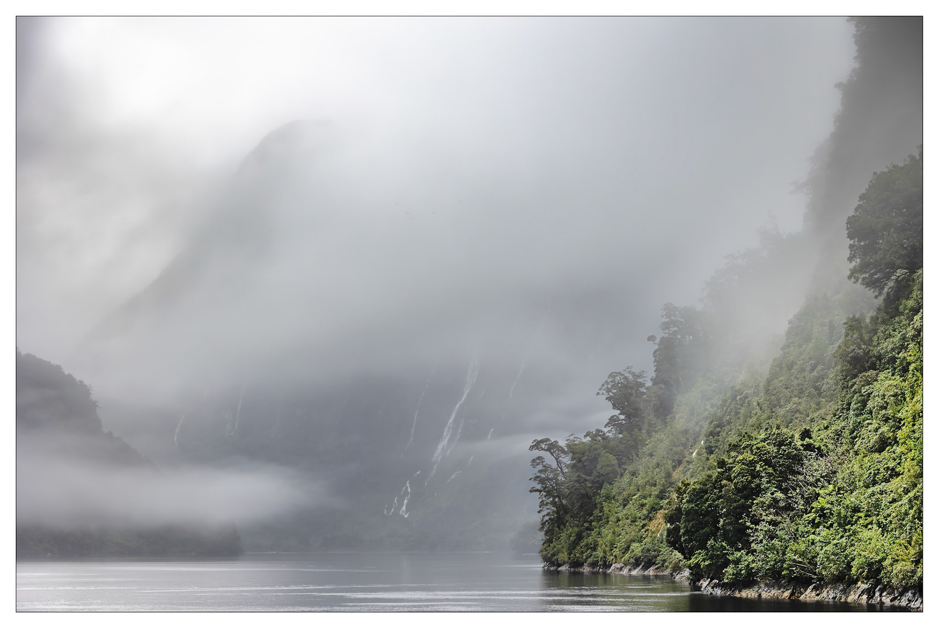 Scenes from Jurassic Park - Doubtful Sound, New Zealand
