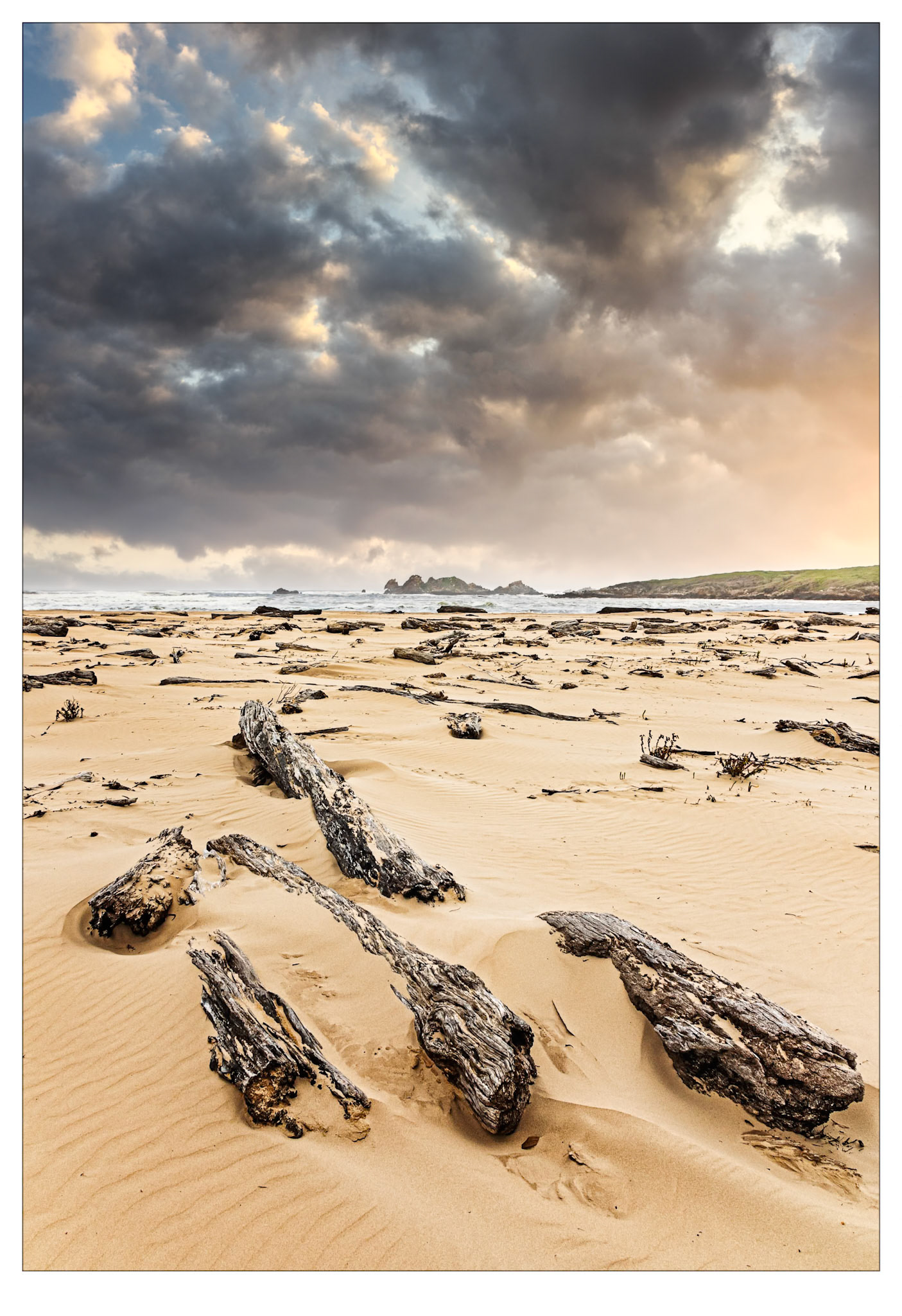 Log Jam - Tarkine Coast, Tasmania