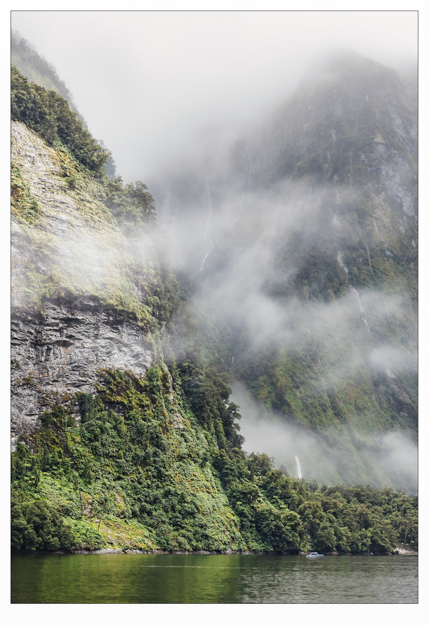 Jurassic Park - Doubtful Sound, New Zealand