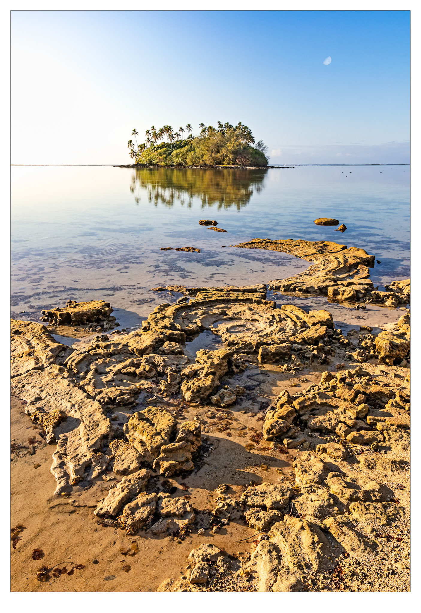 Golden Moonrise - Rarotonga, Cook Islands