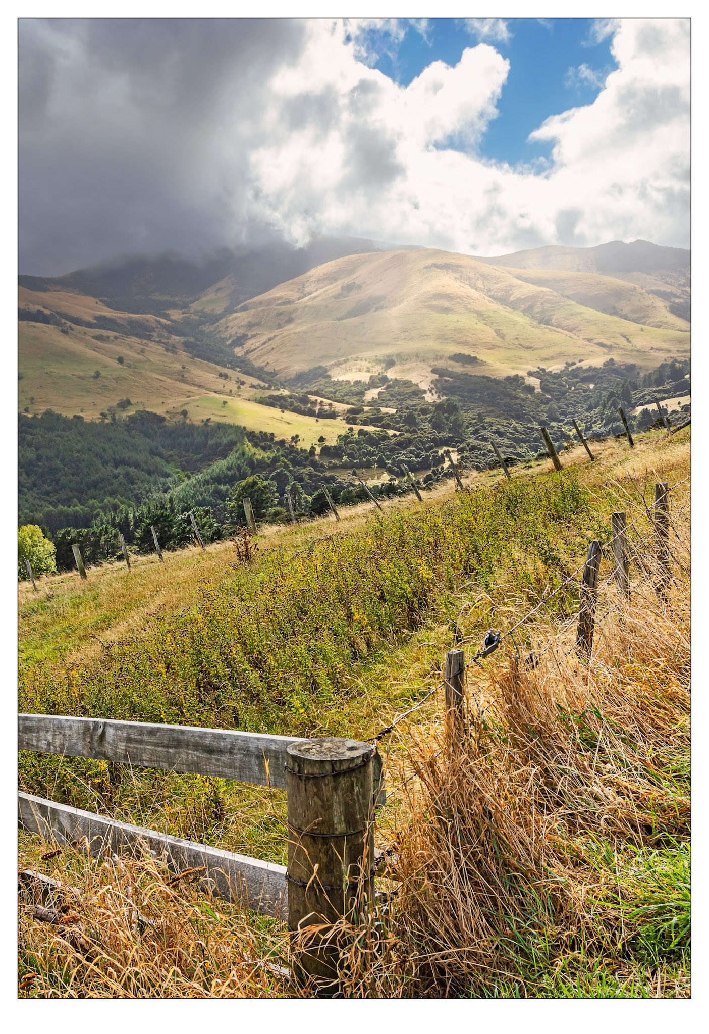 Soft Light - Banks Peninsula, New Zealand