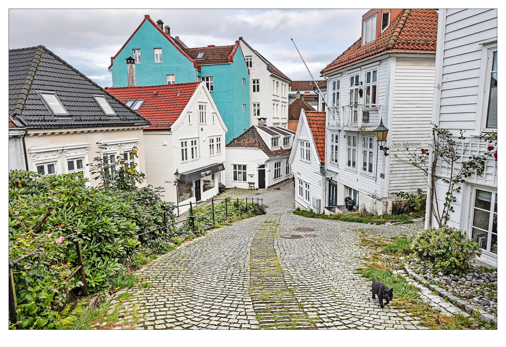 The Black Cat of Bergen - Bergen, Norway