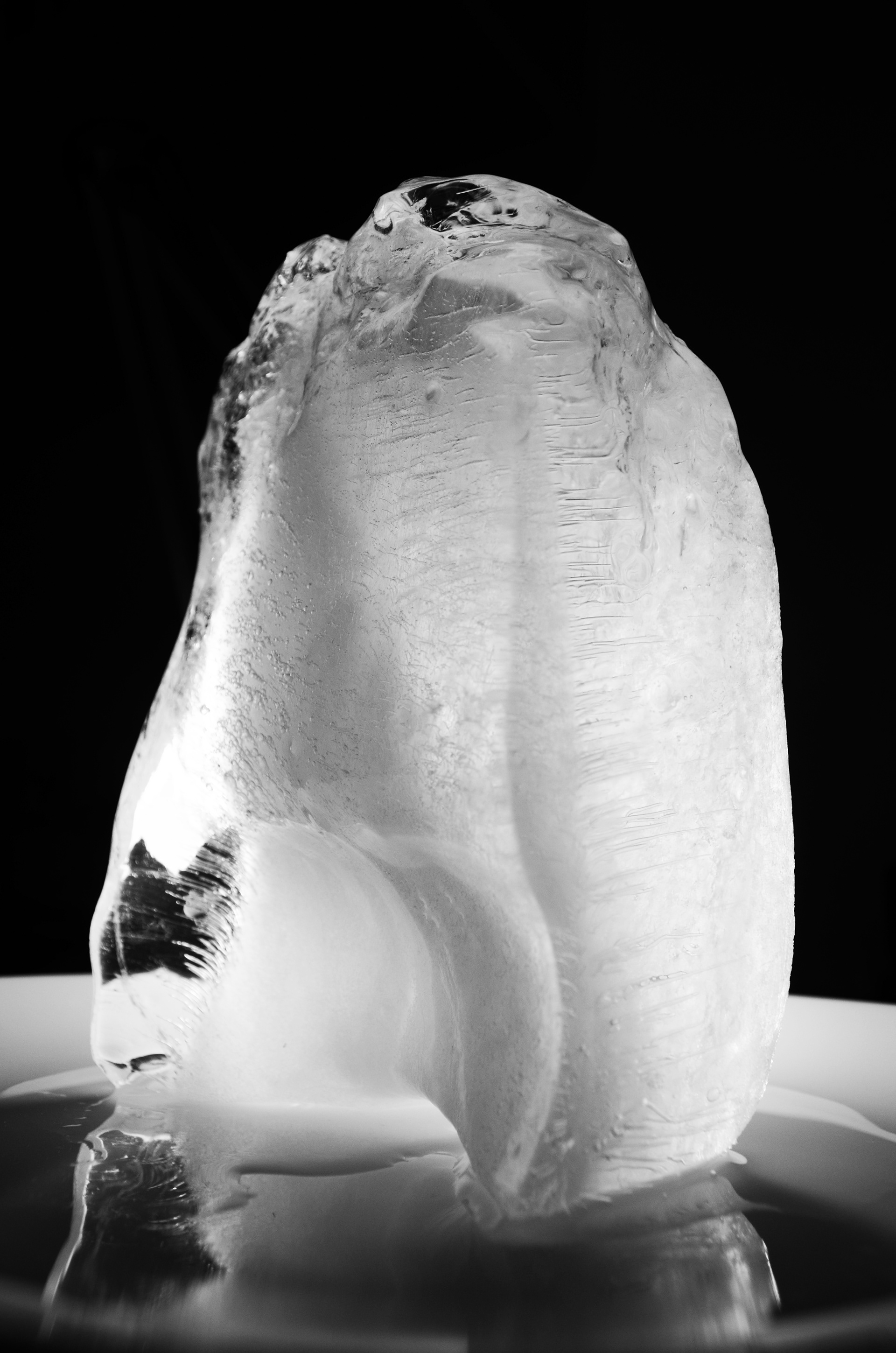Ice Study 01 without light
