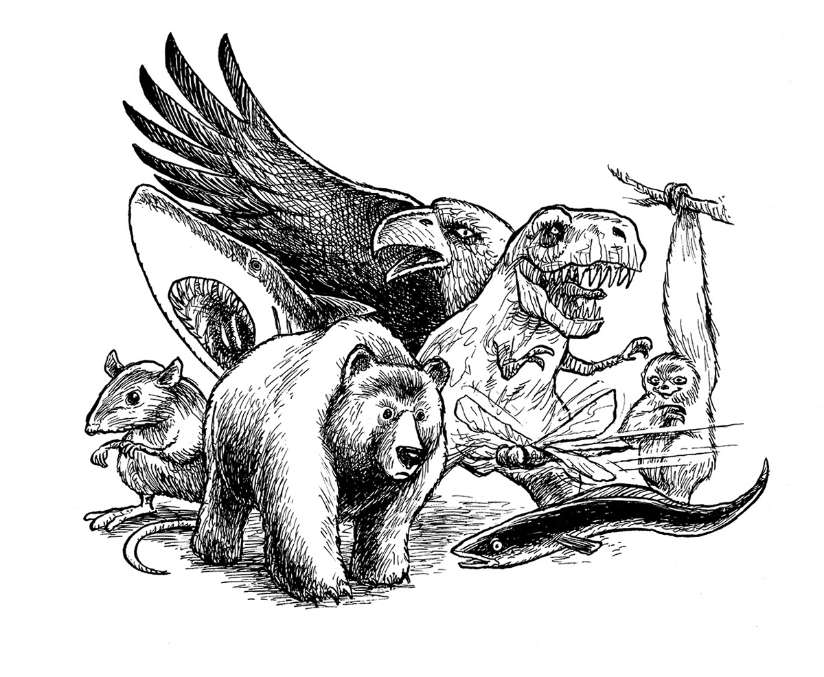 Illustration, Miwer, tegning, artwork, Panternatten, Peter Mouritzen, Jensen&Dalgaard, Michael Wettendorff