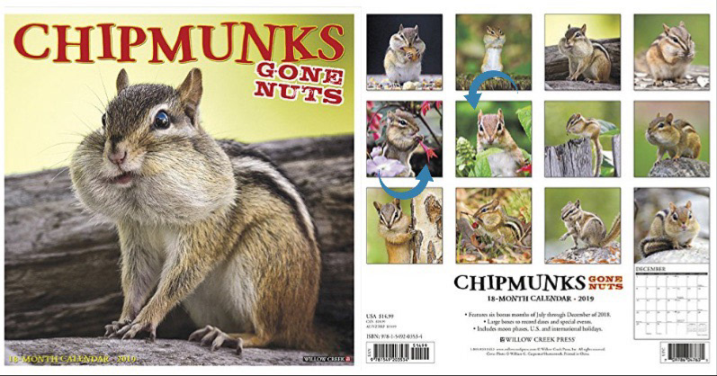 Chipmunks Gone Nuts 2019 Calendar