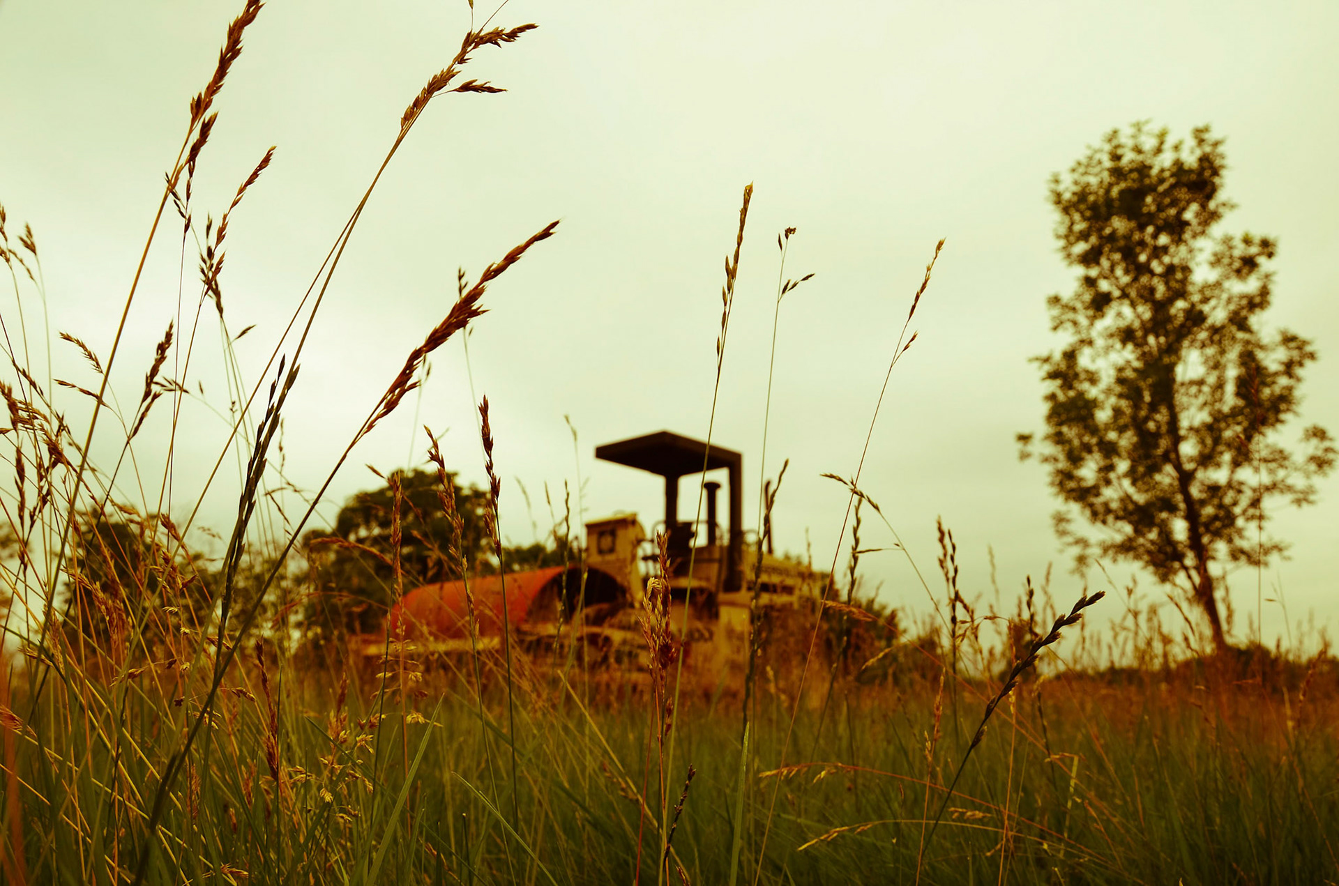 Engulfing the Machine