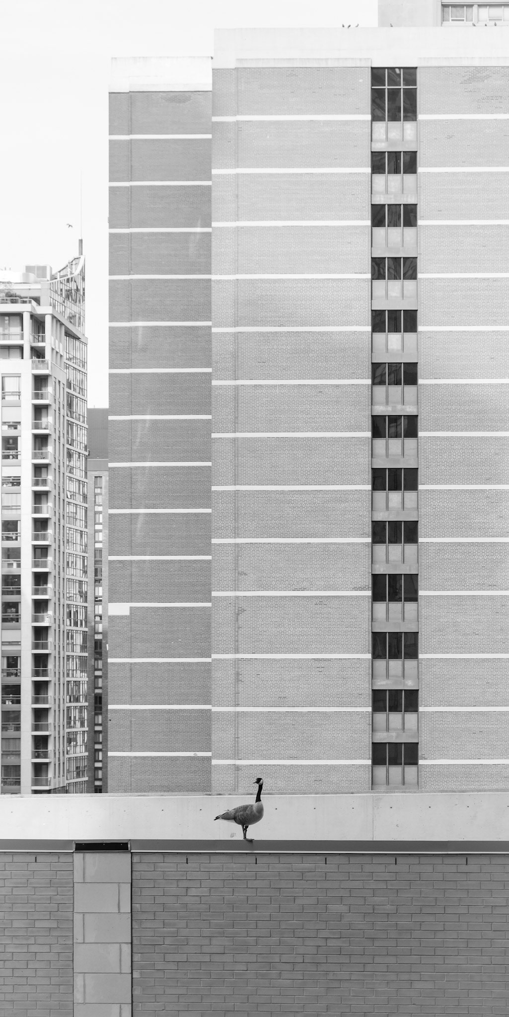 Nothing to see here except roaming around the eighth floor.