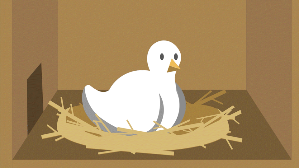 An original animated gif titled "Which came first?"