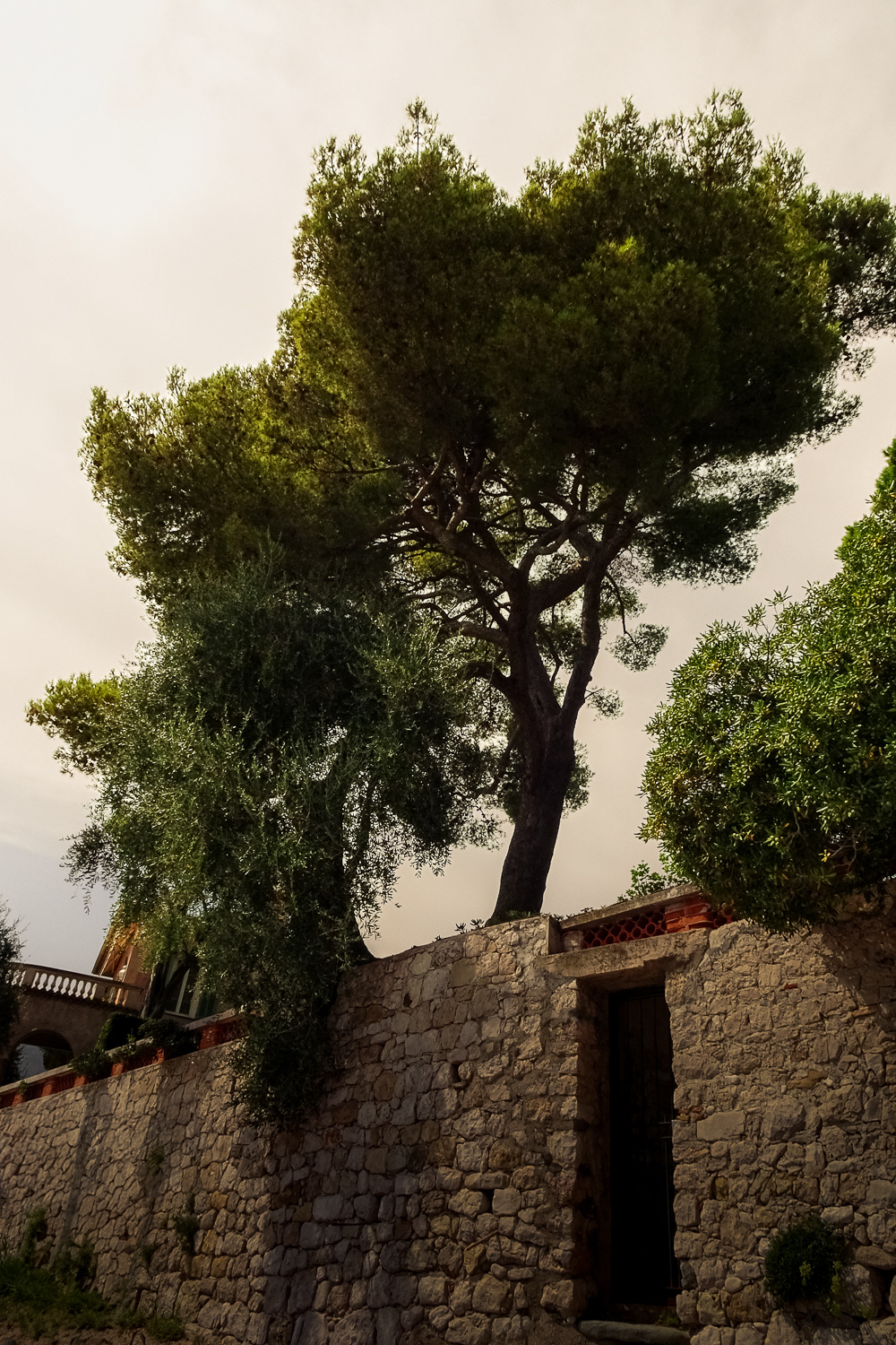 18. Branches de mémoire