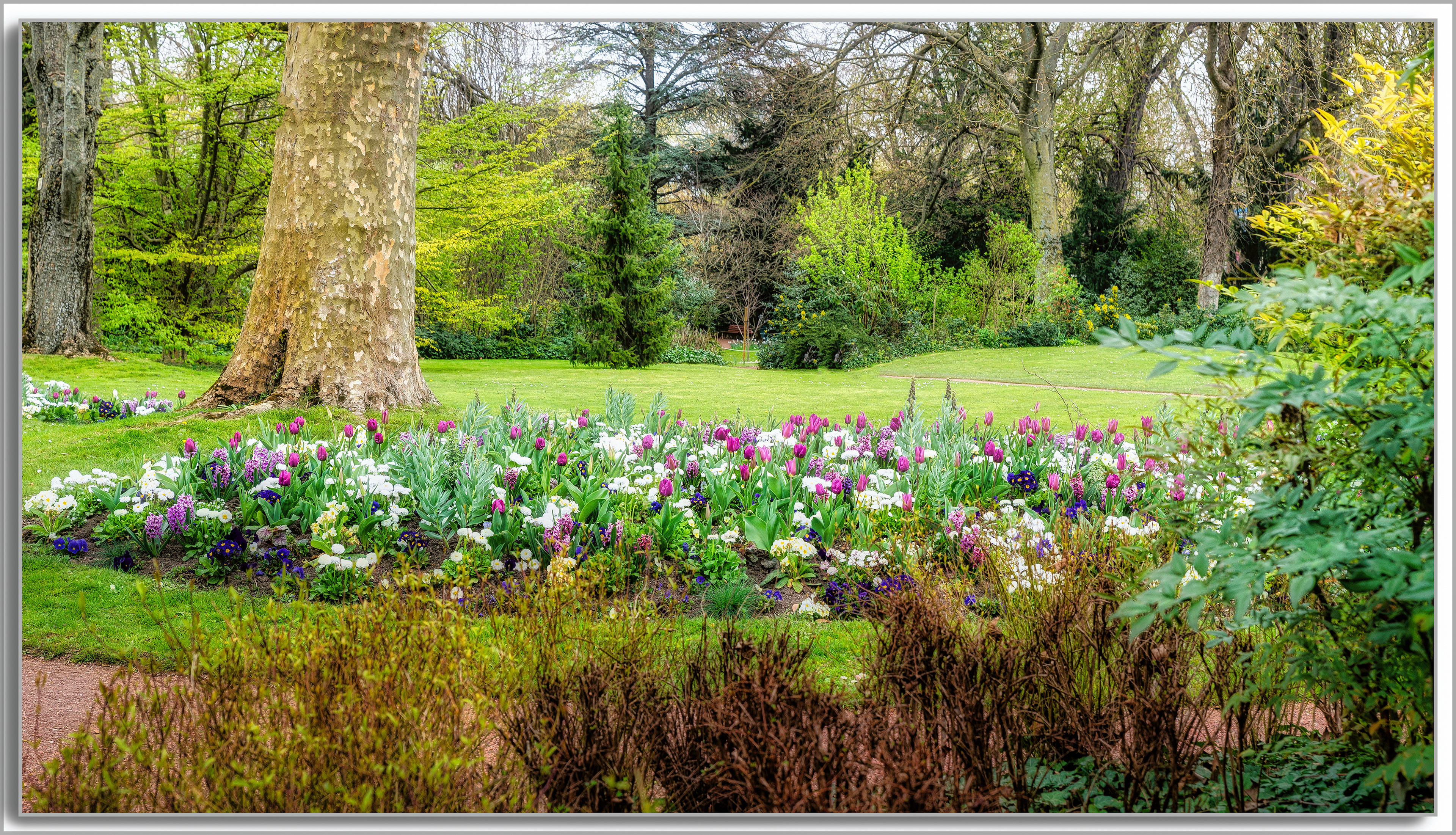 Jardin d'orthiculture Pierre Schneiter