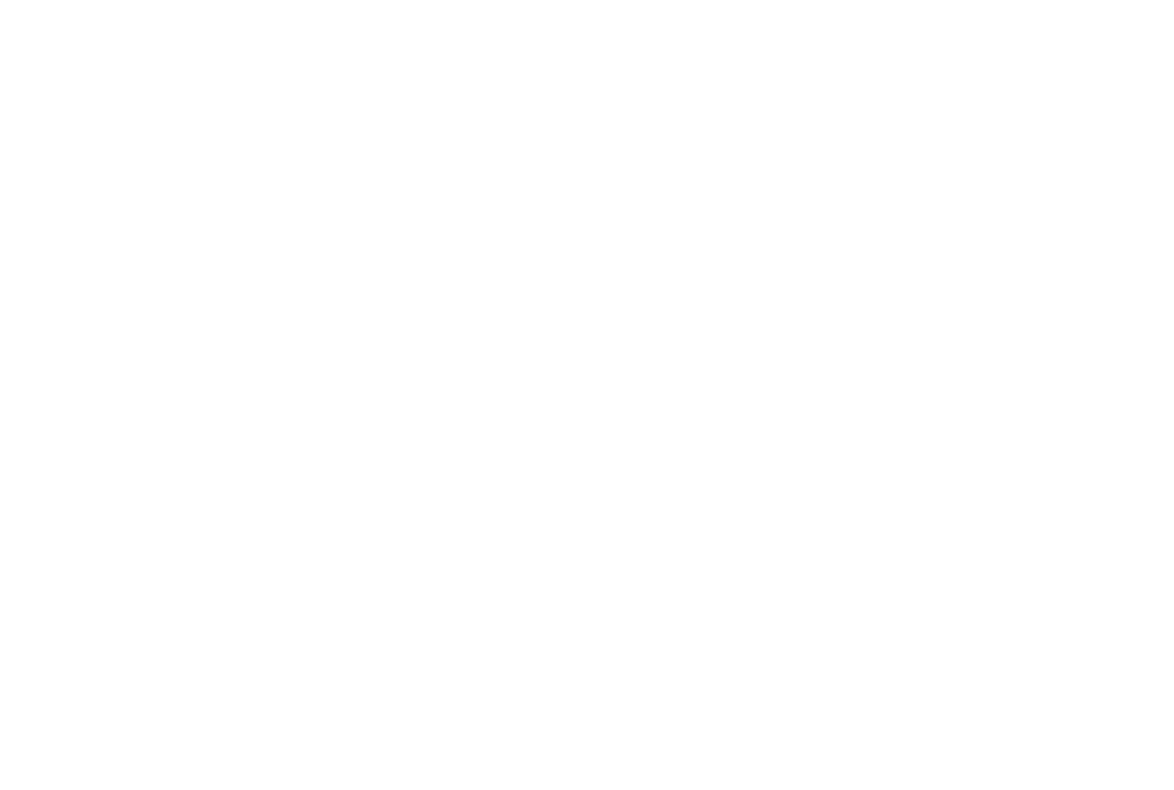 Lisa Flanagan