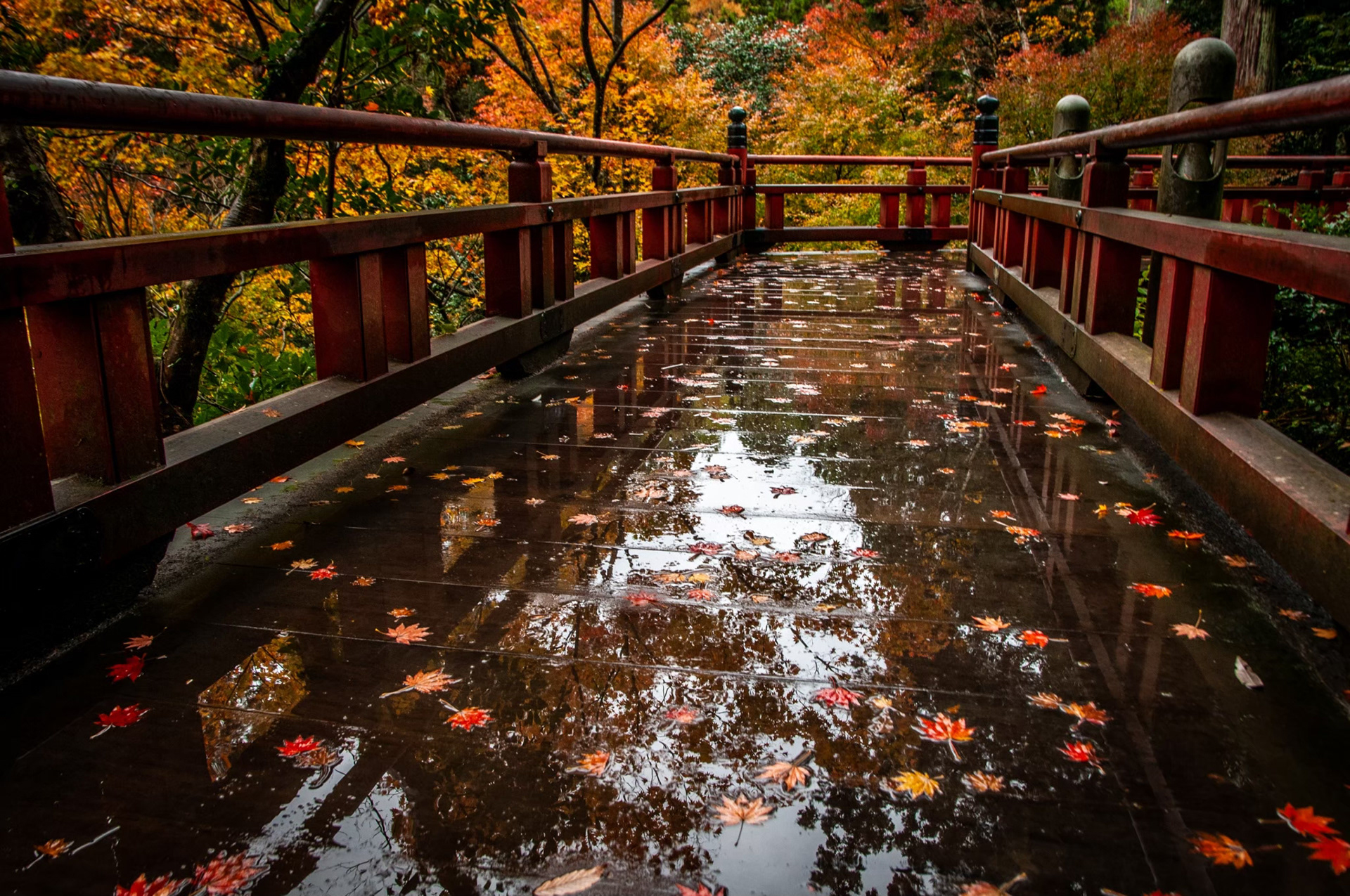 小松市那谷寺の紅葉リフレクション