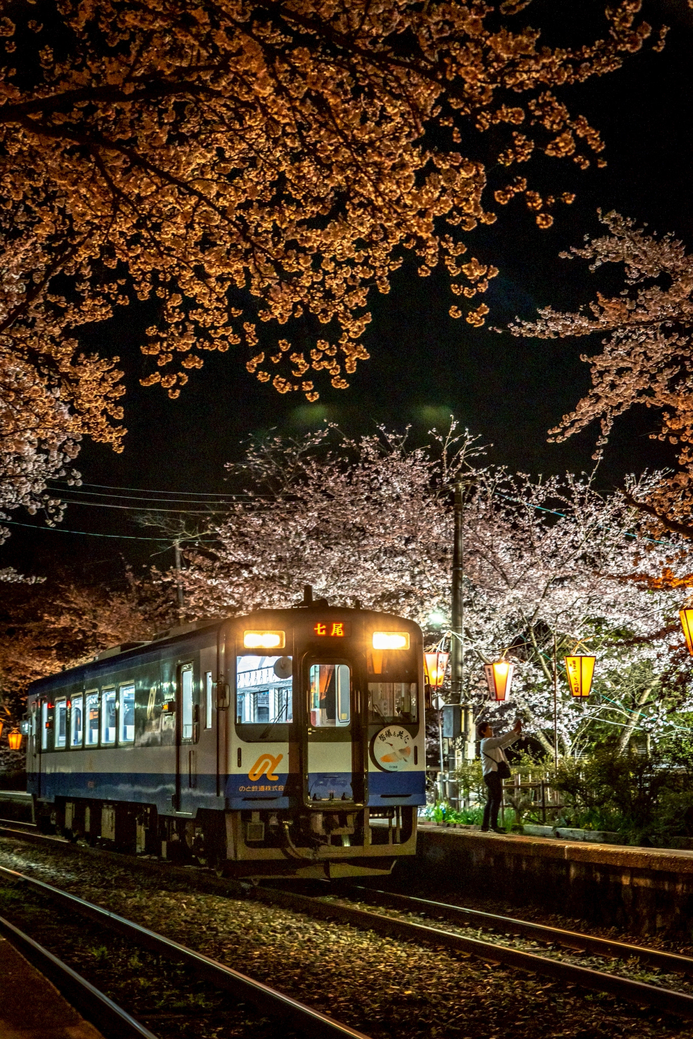 のと鉄道能登鹿島駅の夜桜ライトアップ