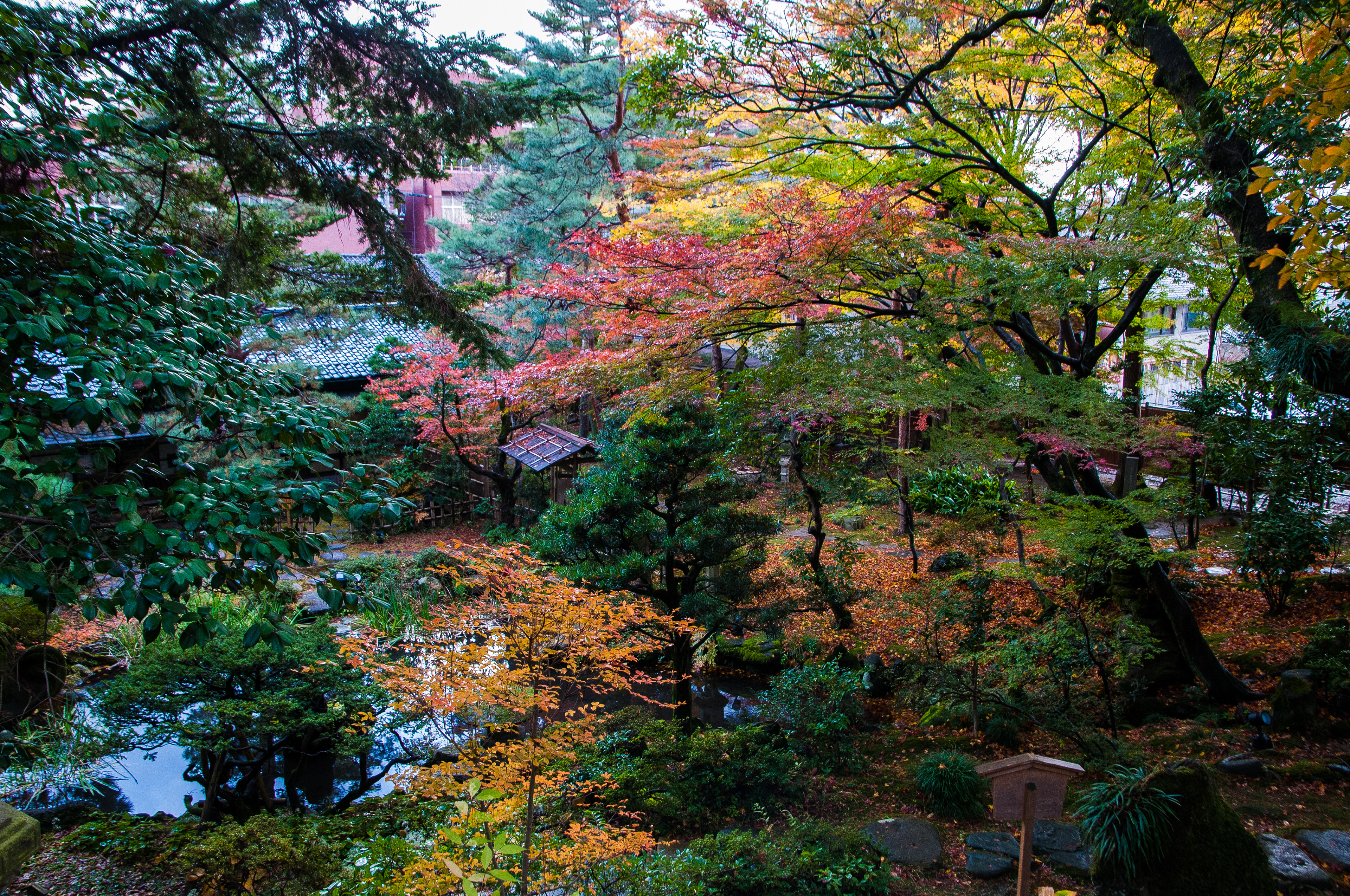 金沢市・西田家庭園の紅葉