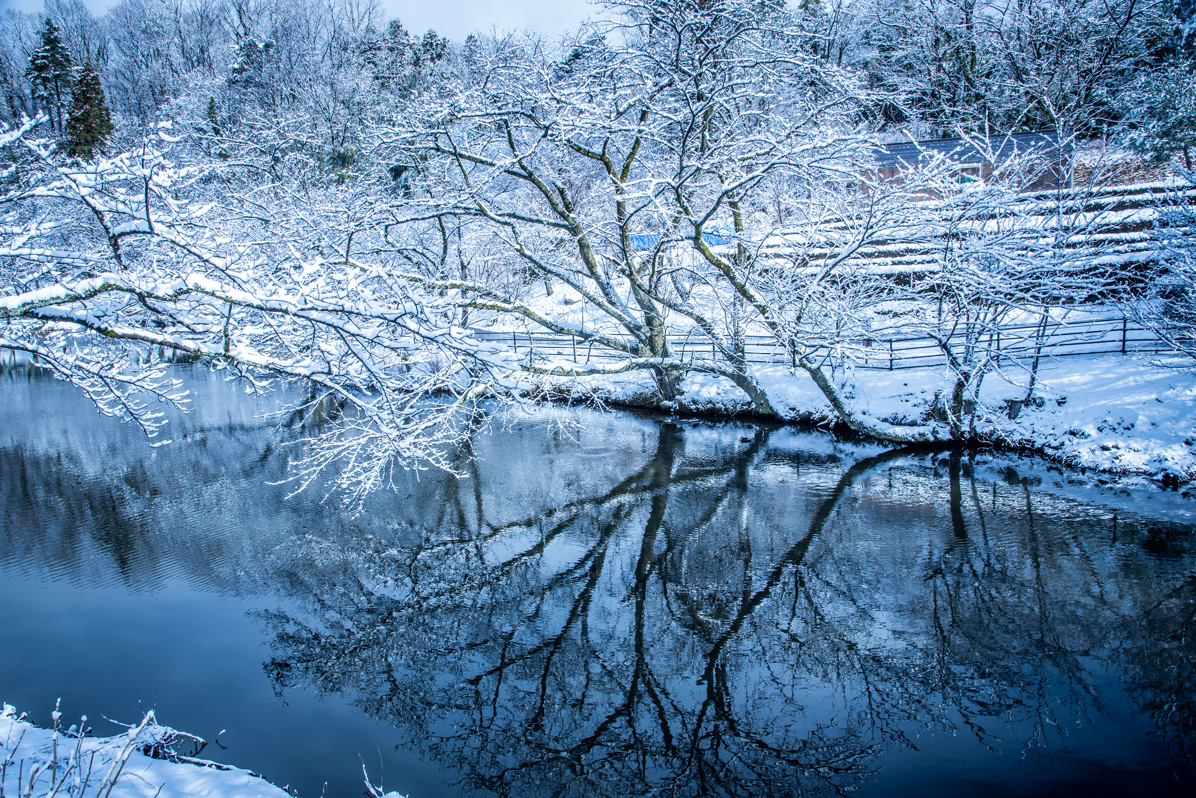 奥卯辰山健民公園の雪景色