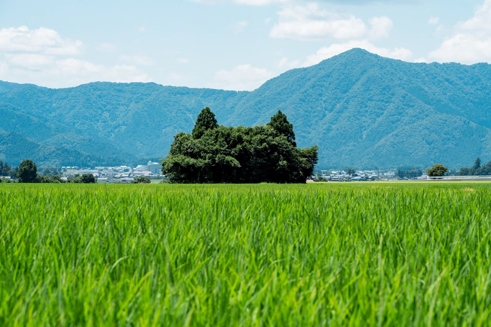 福井県大野市の山伏岩