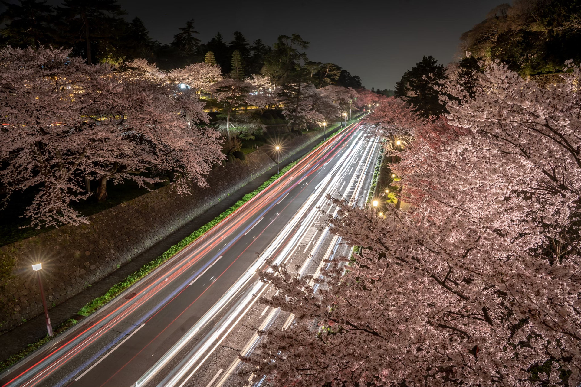 金沢城石川門から見る夜桜