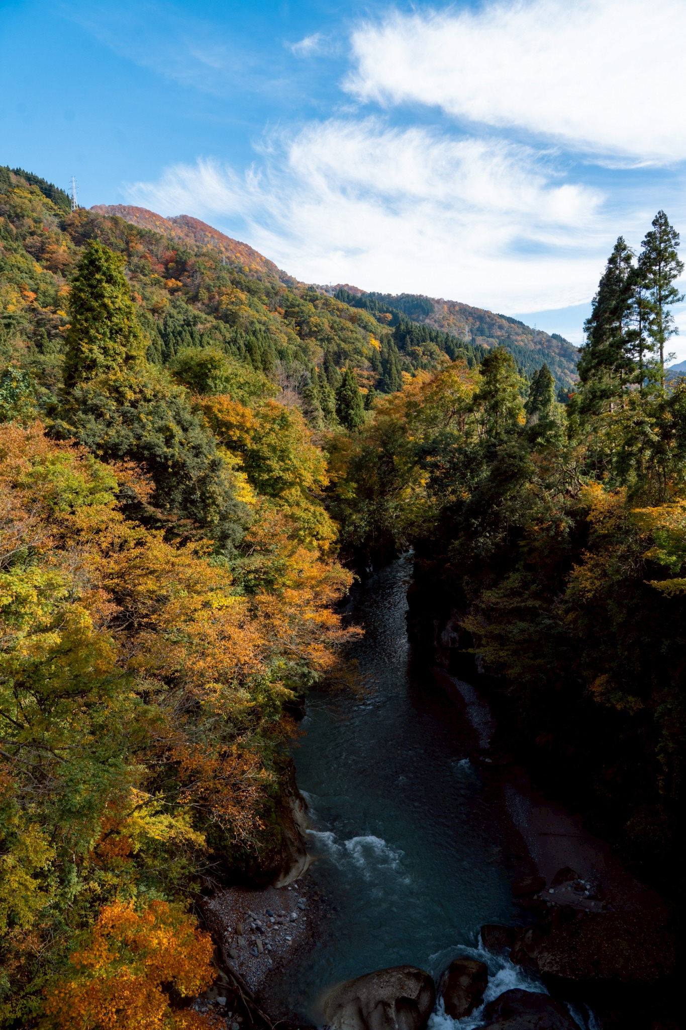 手取峡谷の紅葉