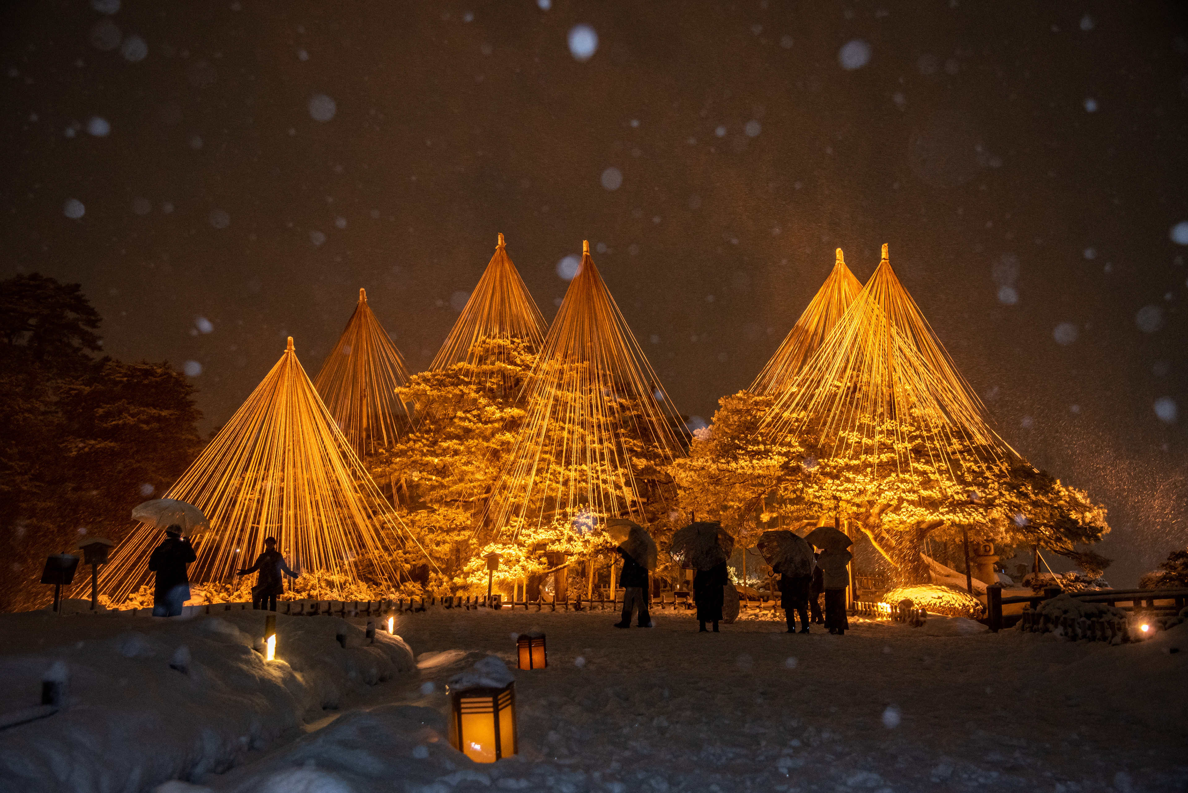 兼六園冬のライトアップと雪吊り