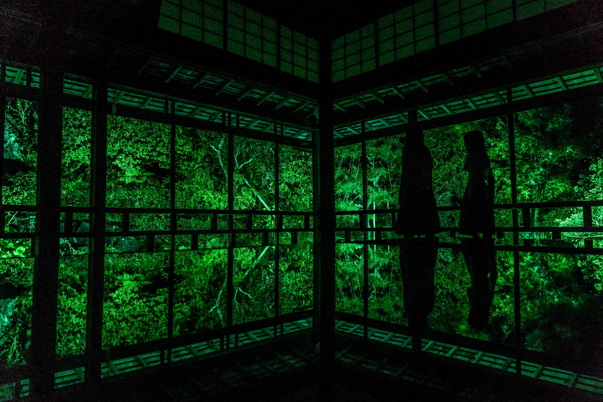 「青林寺ライトアップ＆贅沢ティータイム」プレスリリース用スチール撮影(２・４・５枚目) (企画・動画制作：PR TIMES様)