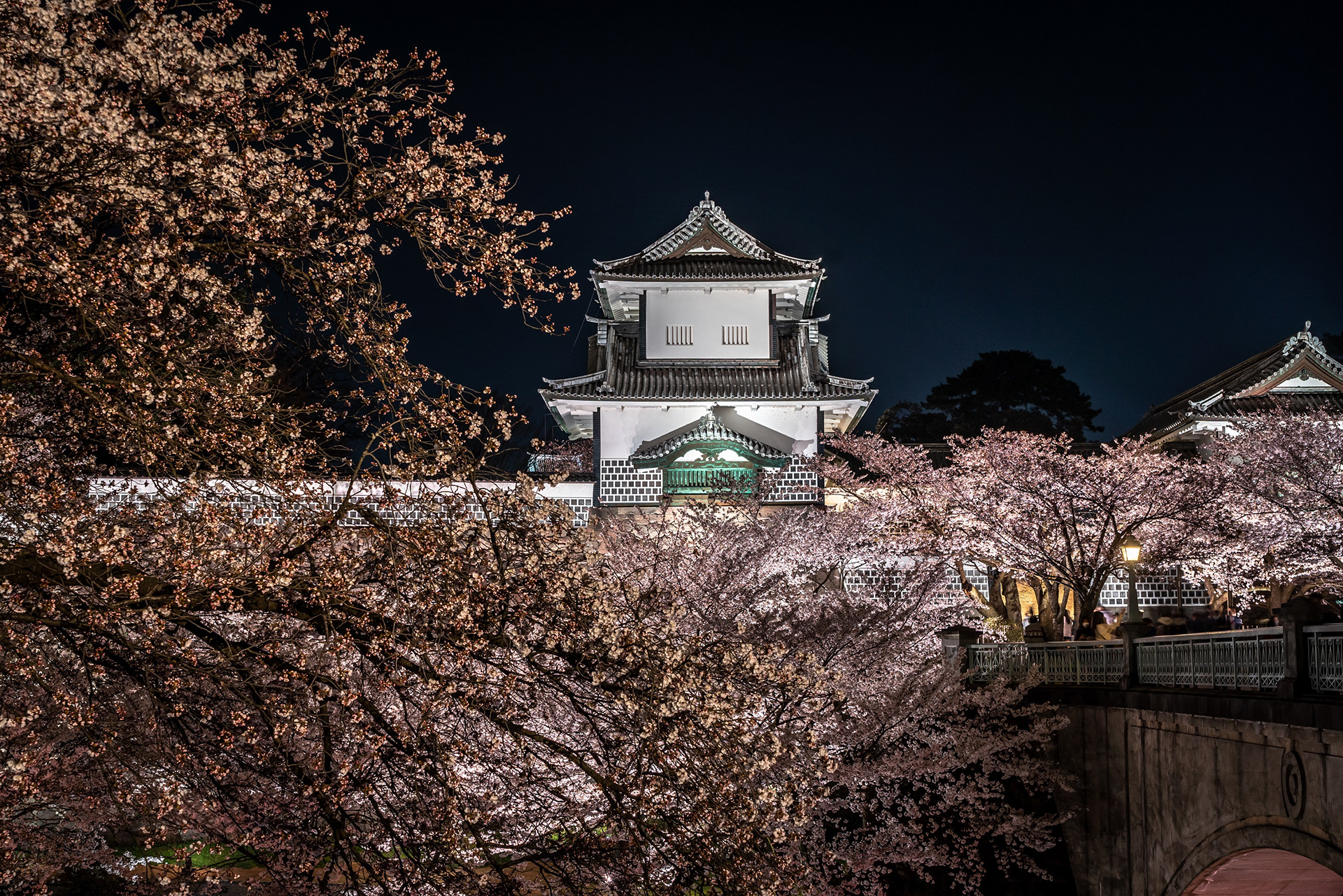 金沢城石川門と夜桜