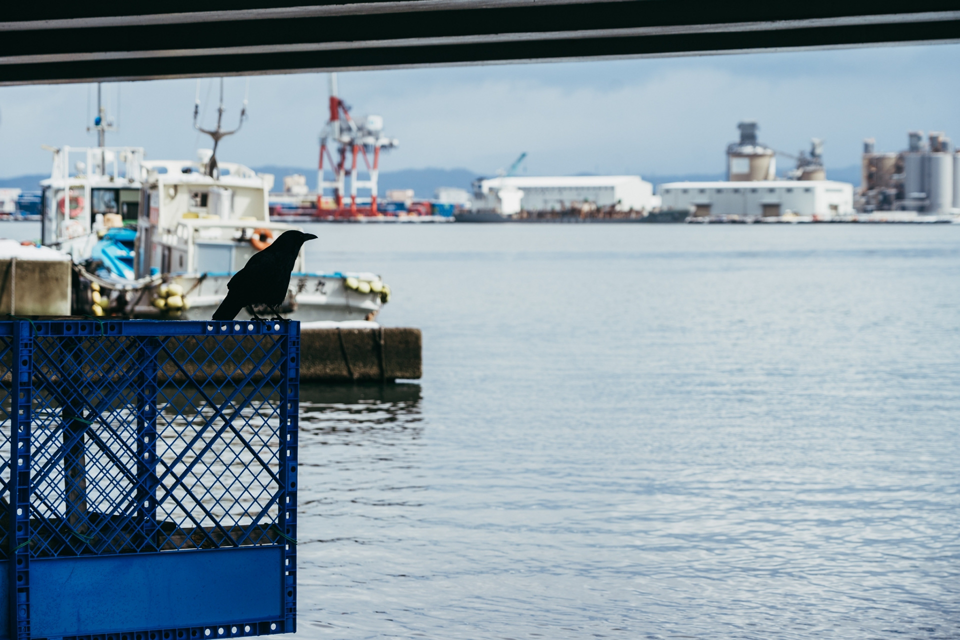 金沢・大野地区