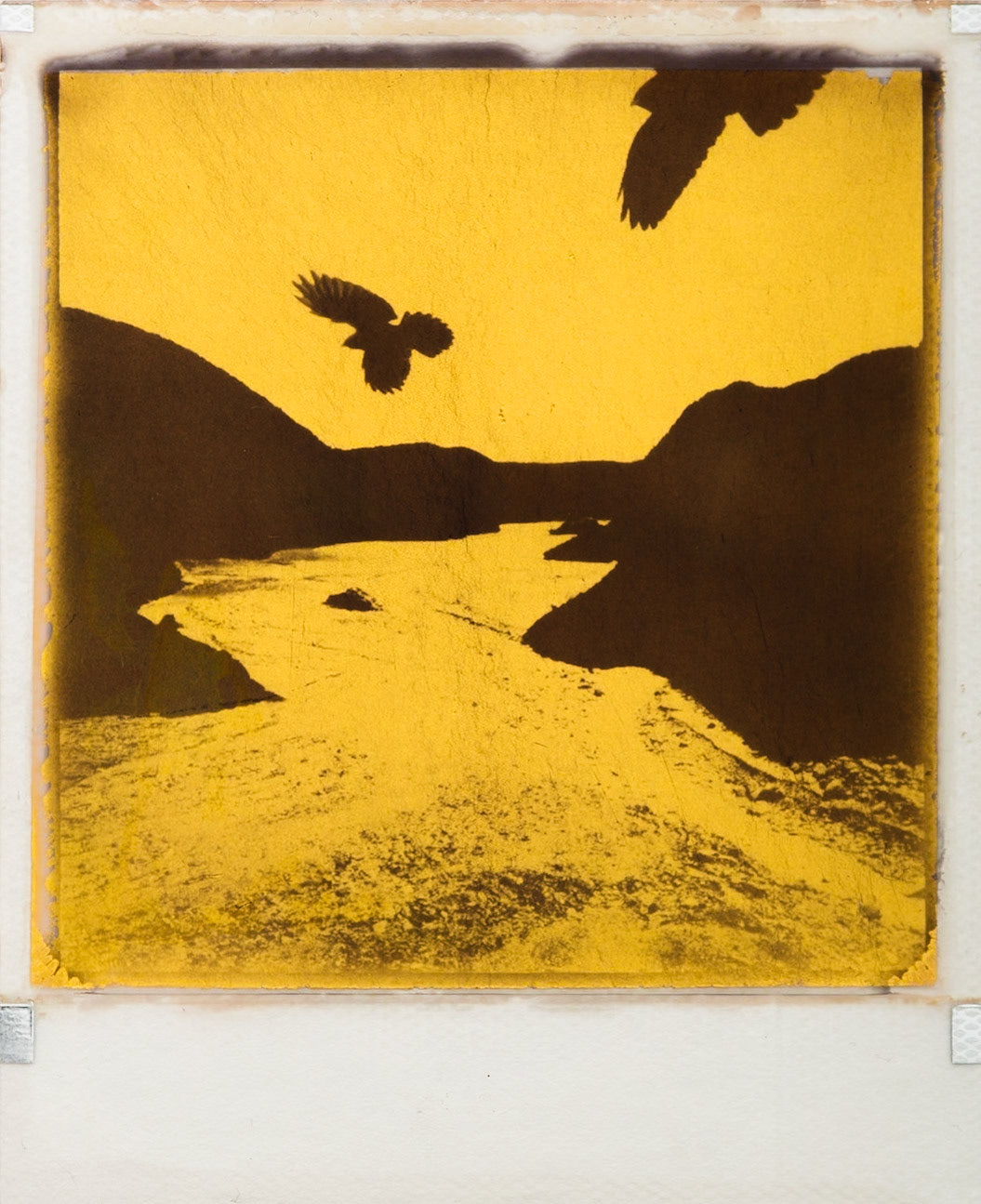 221031-PR01BG-22-0001