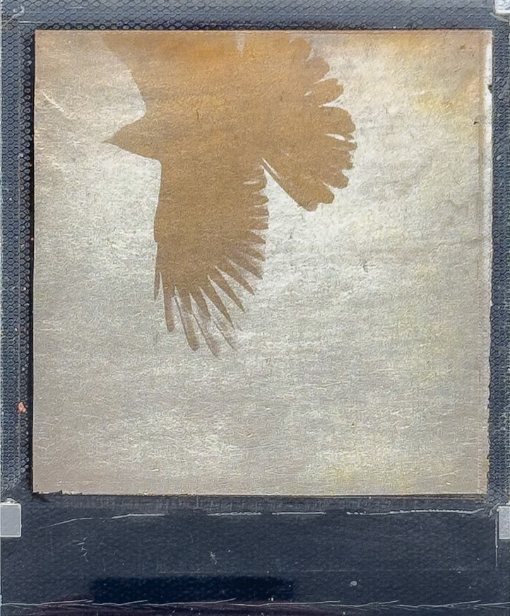 220021-PR01BS-22-0001