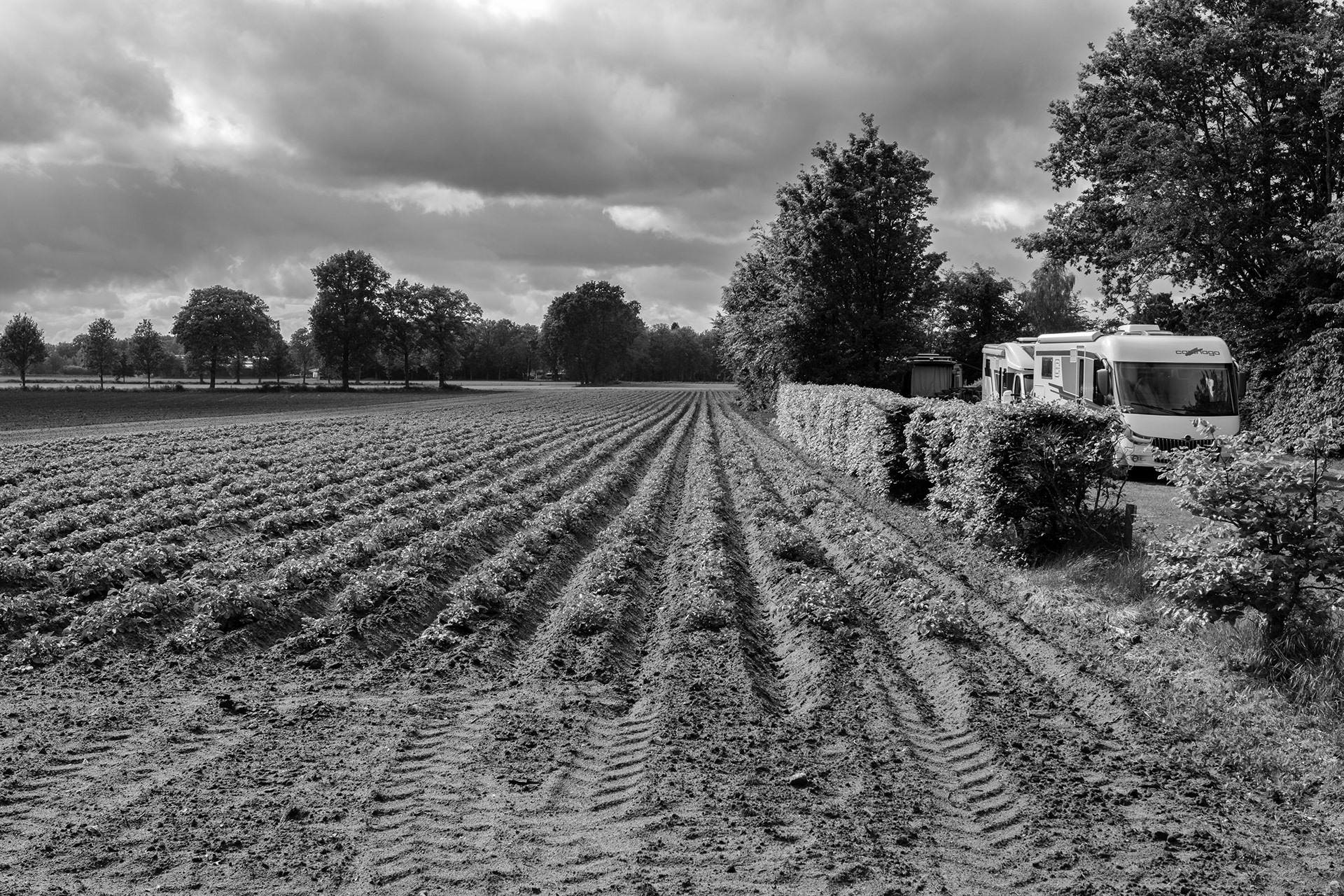 Camping de Kleverkamp