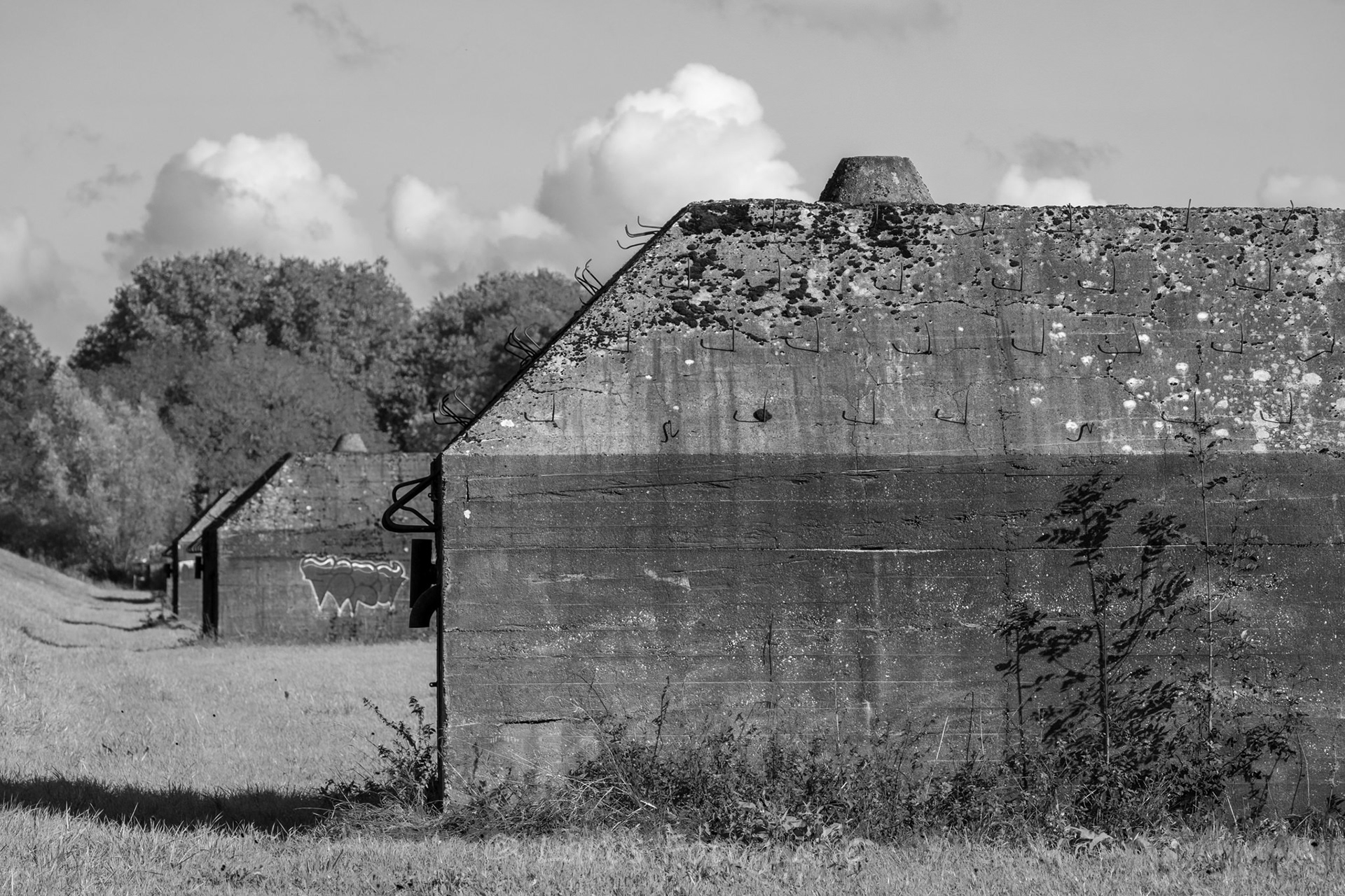 Culemborg (Diefdijk)