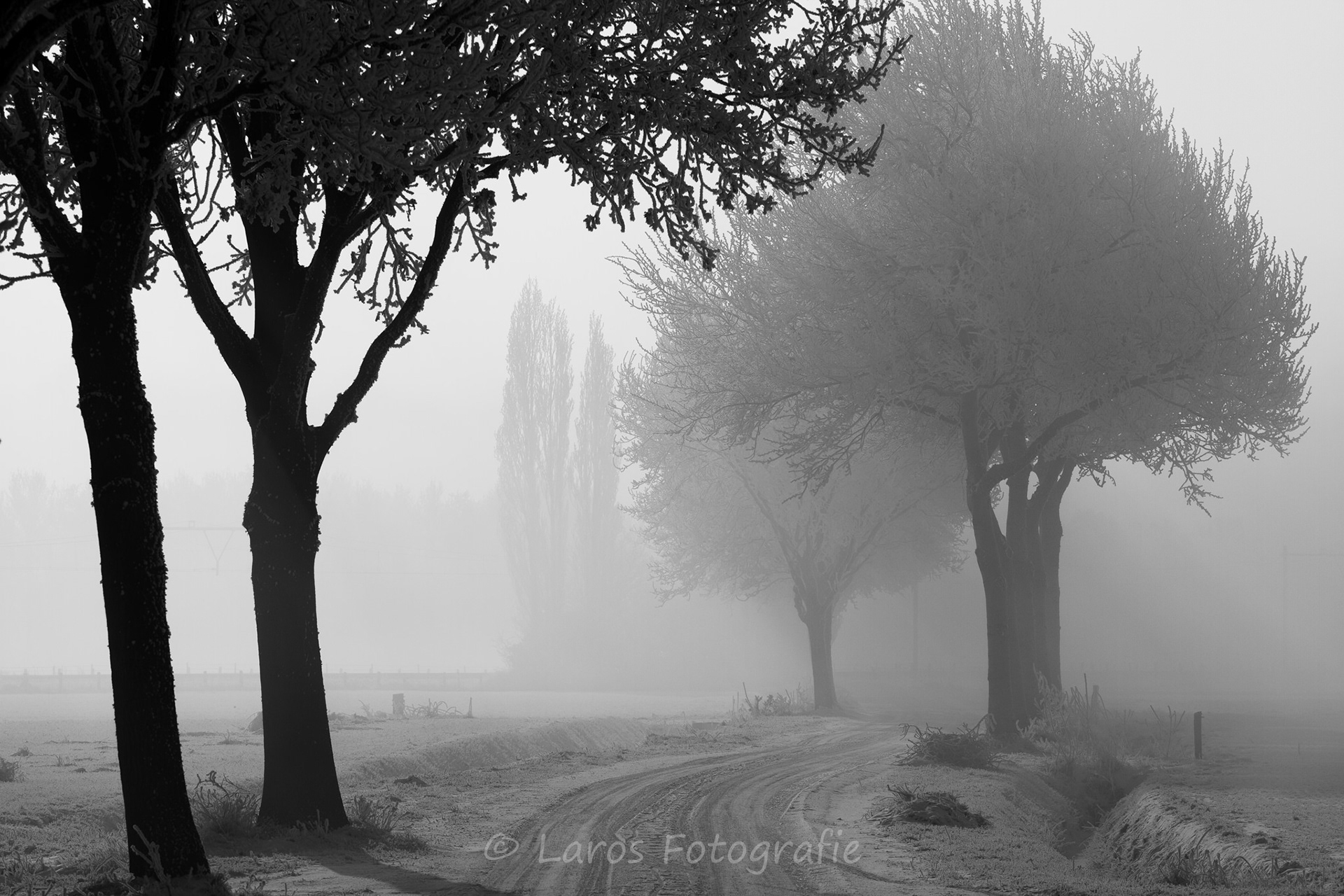 Roosendaal