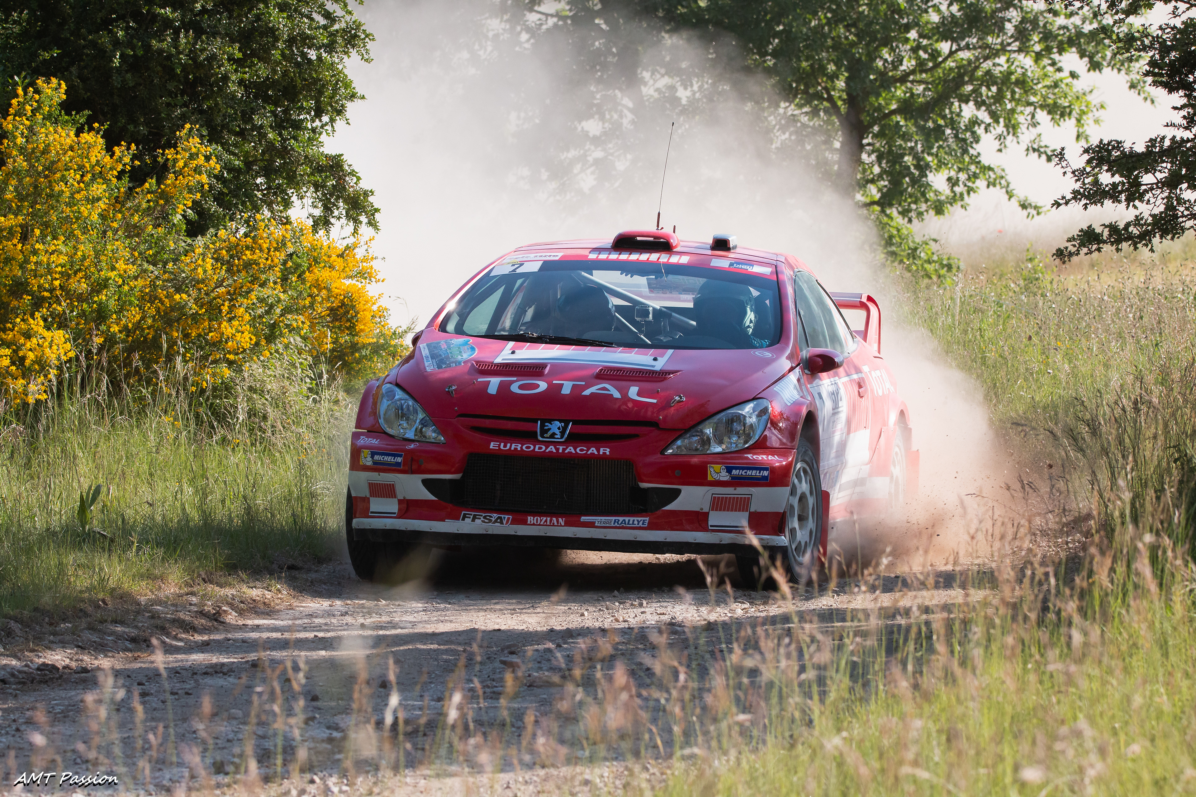 Rallye du Diois 2016   P. Chieusse