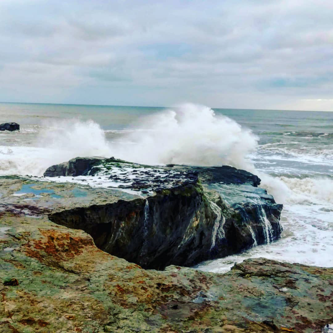 The sea is a desert of waves, A wilderness of water...  