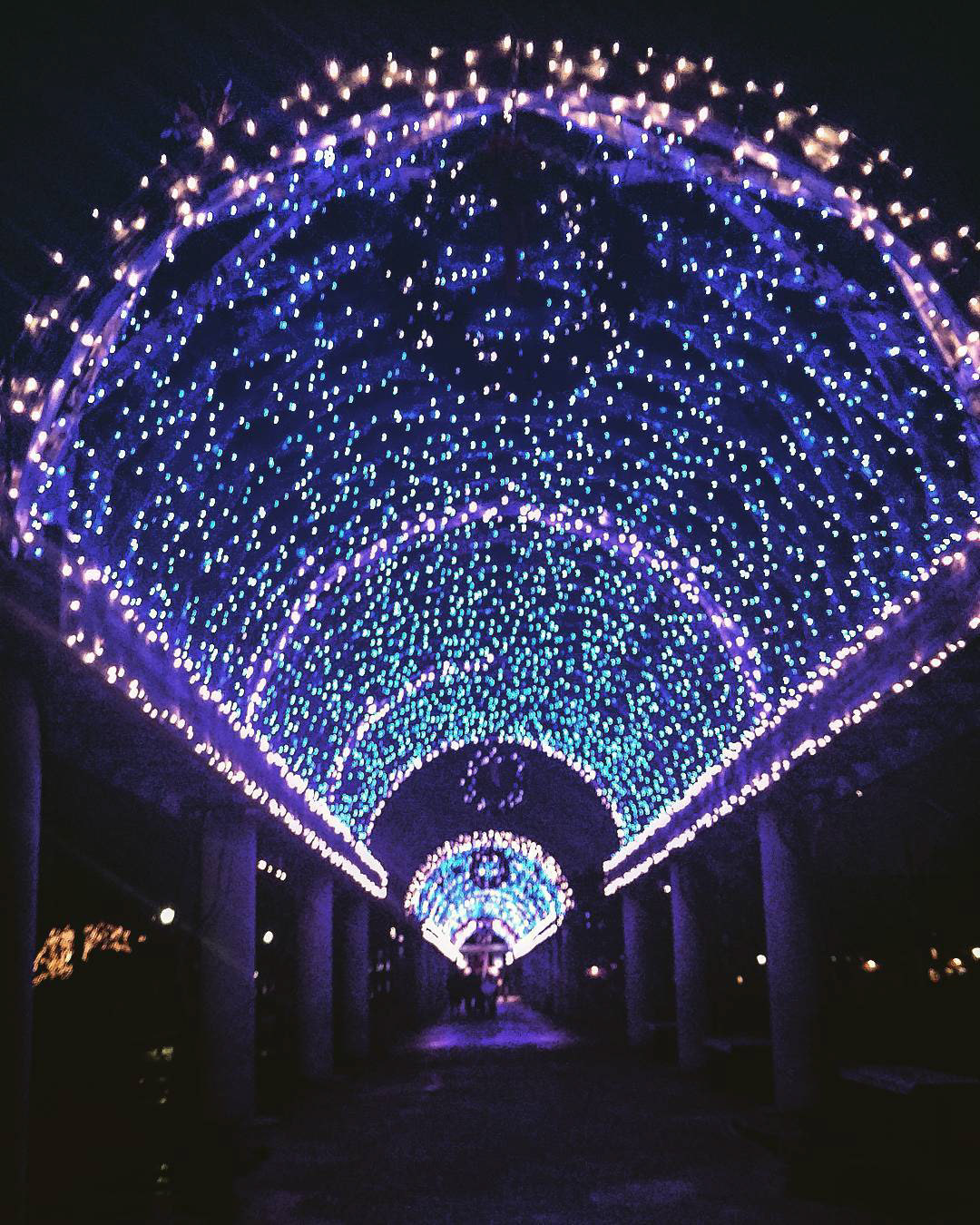 It's a Long Road but It's Worth It...