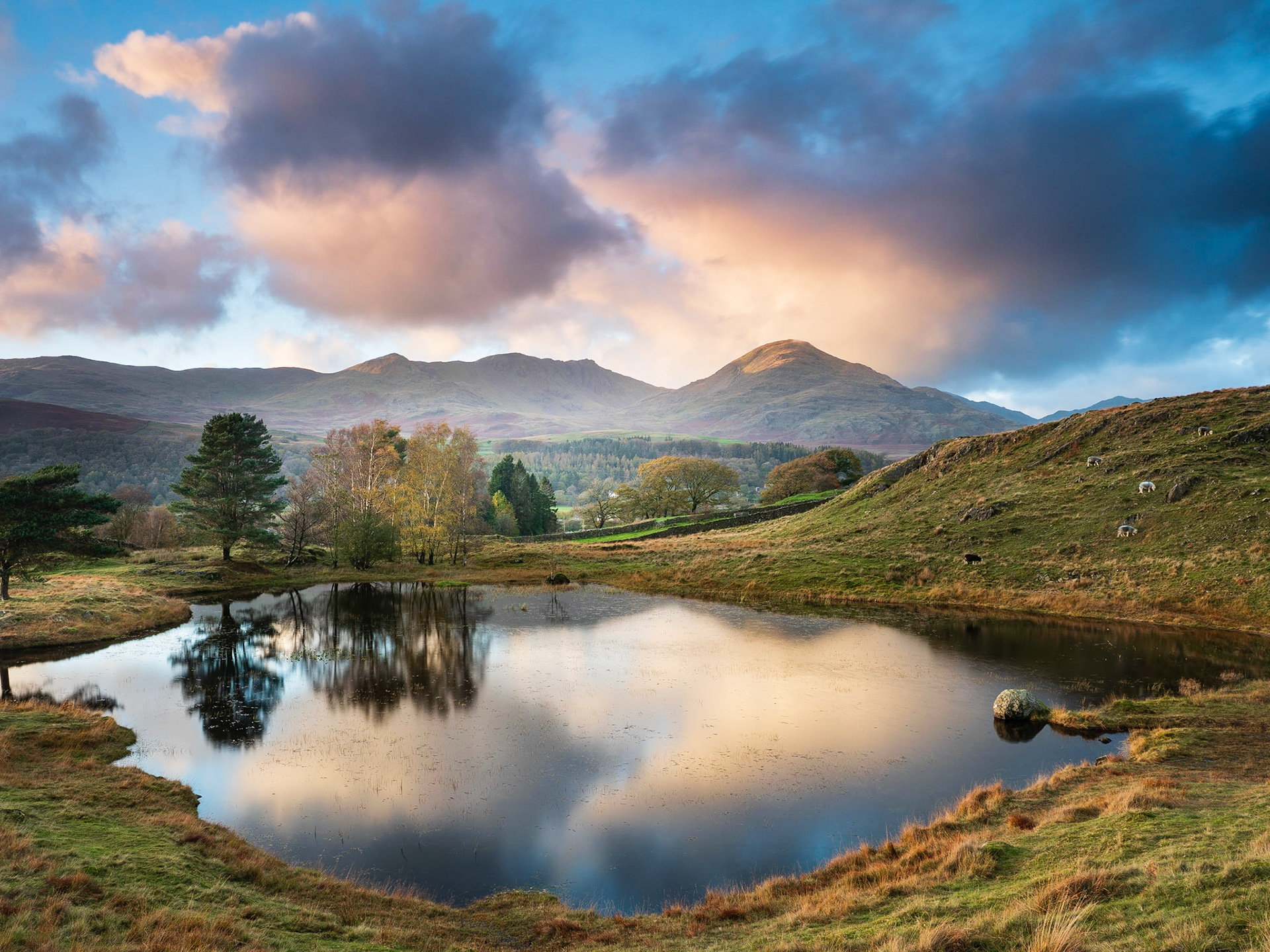The setting sun picks out the the Old Man of Coniston behind Kelly Tarn