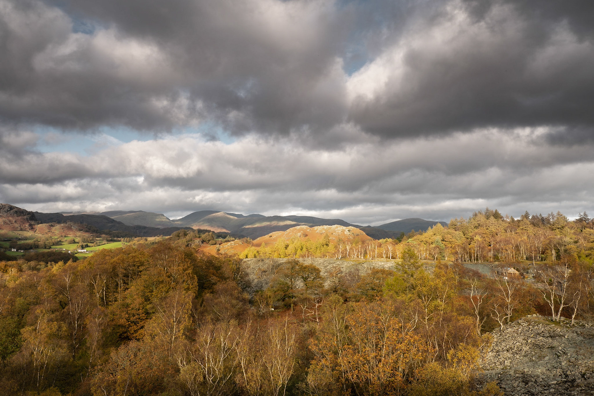 Little Fell from Hodge Close