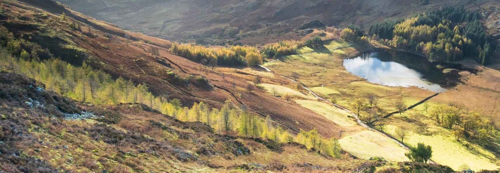 Blea Tarn, from Side How