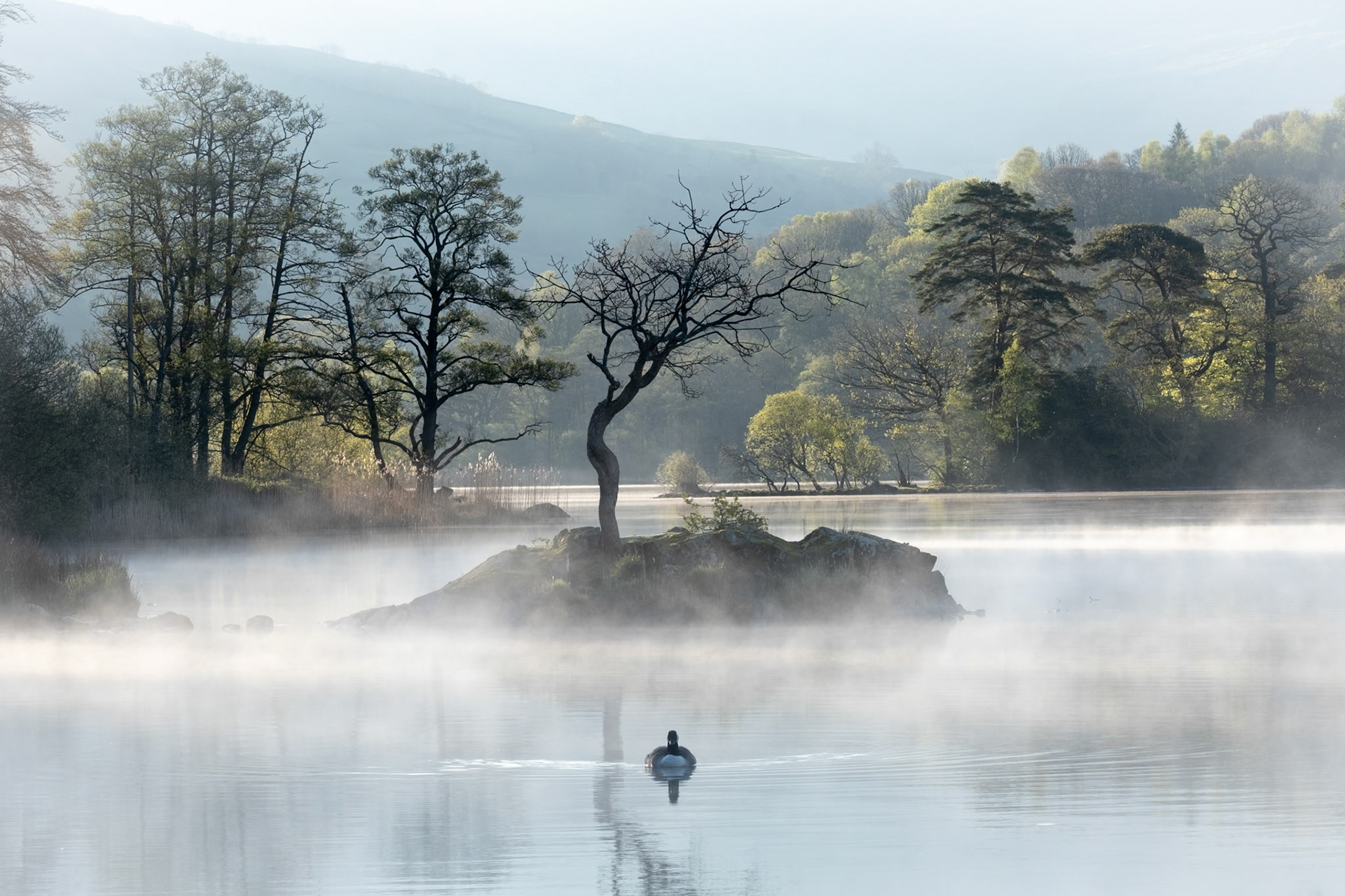 Peaceful early morning at Rydal Water