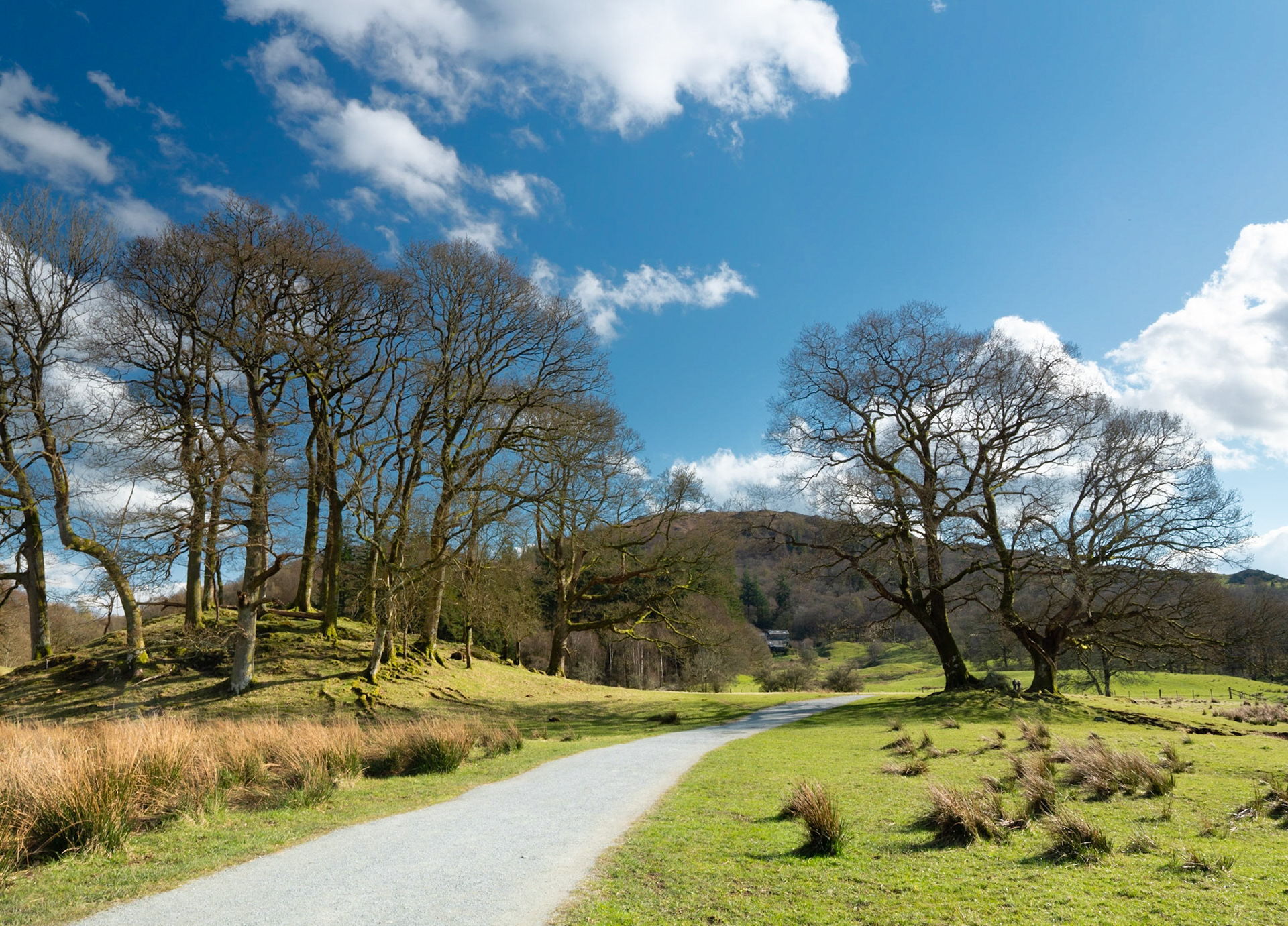 River Brathay Walk from Elterwater