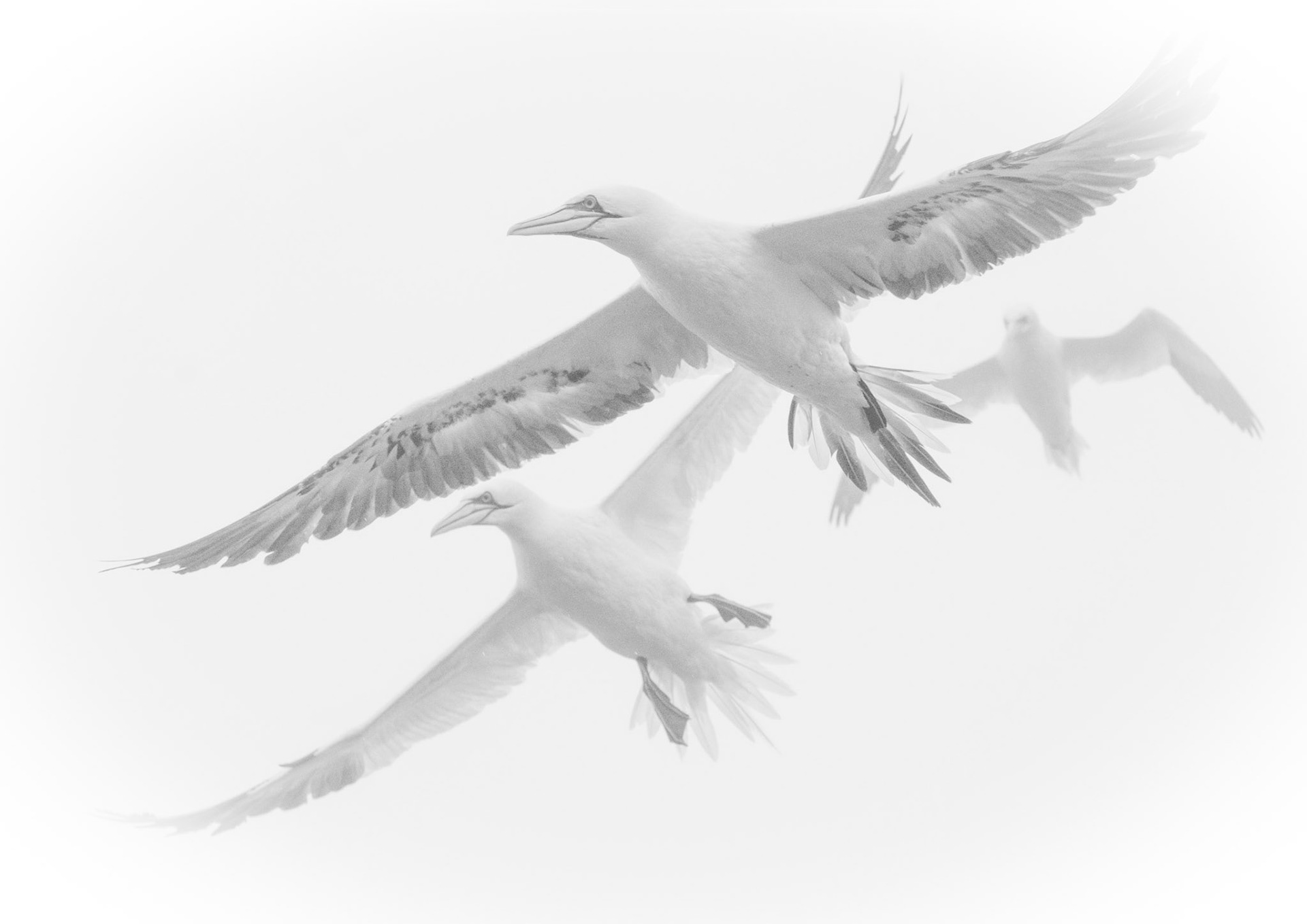 Bandits at 9 o'clock