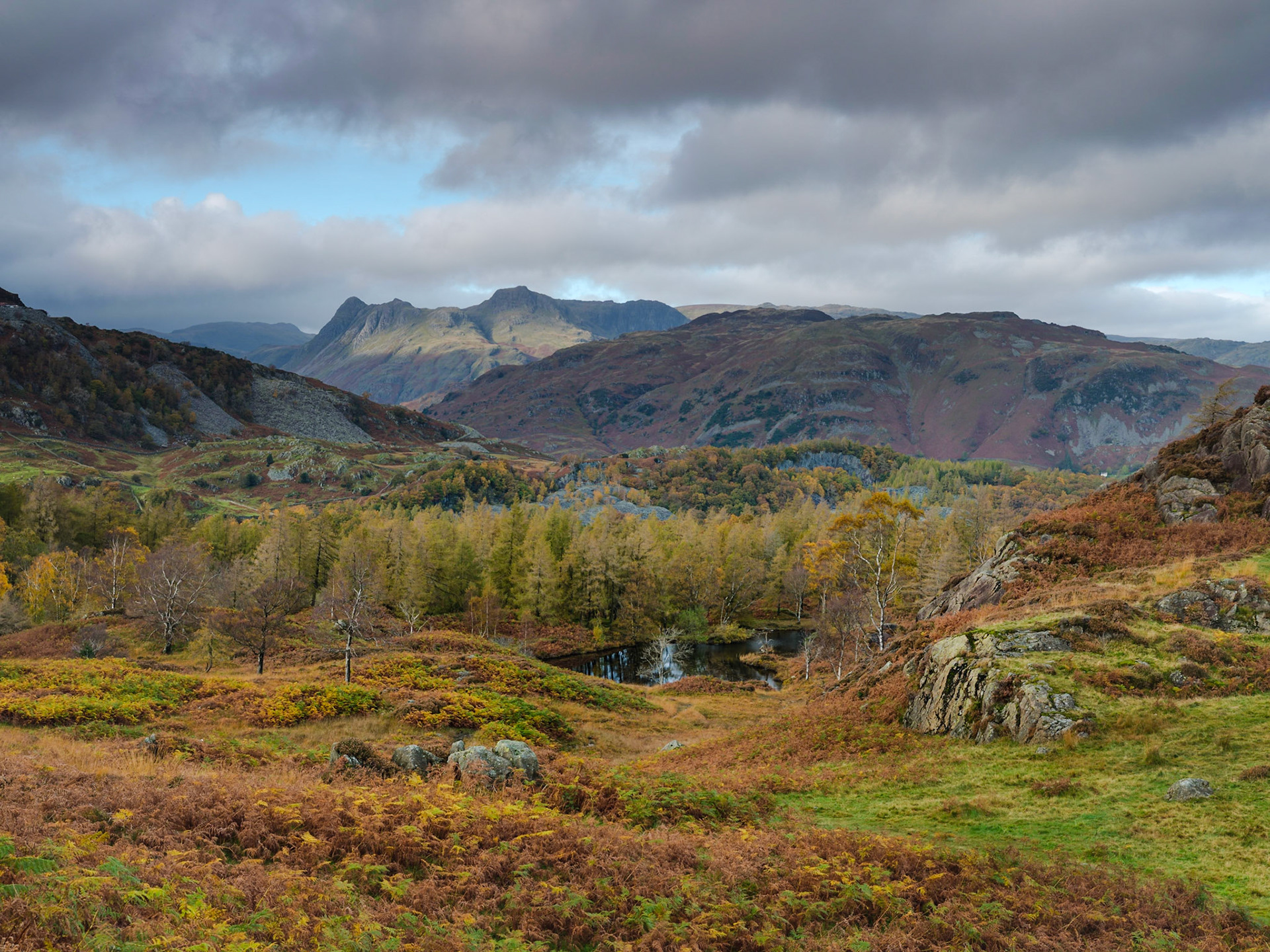 The Langdale Pikes from Holme Fell, Landscape